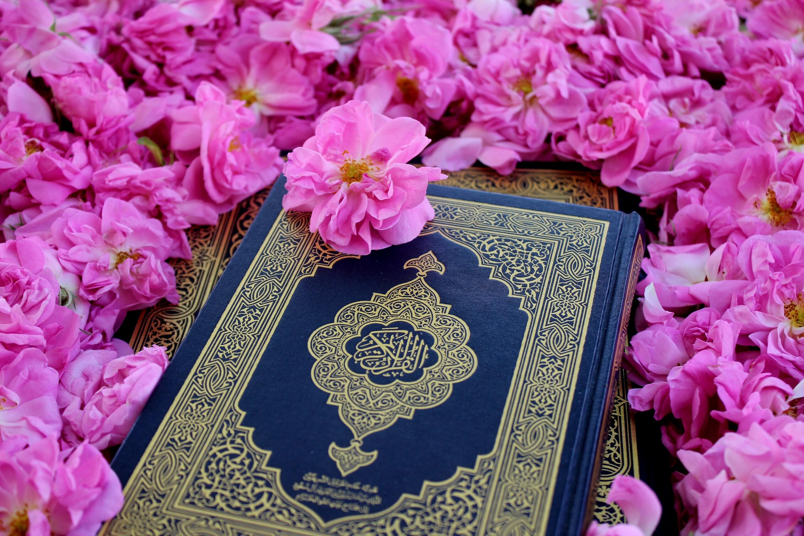 The Holy Quran surrounded by pink roses representing Muharram spiritual practices during Islamic New Year