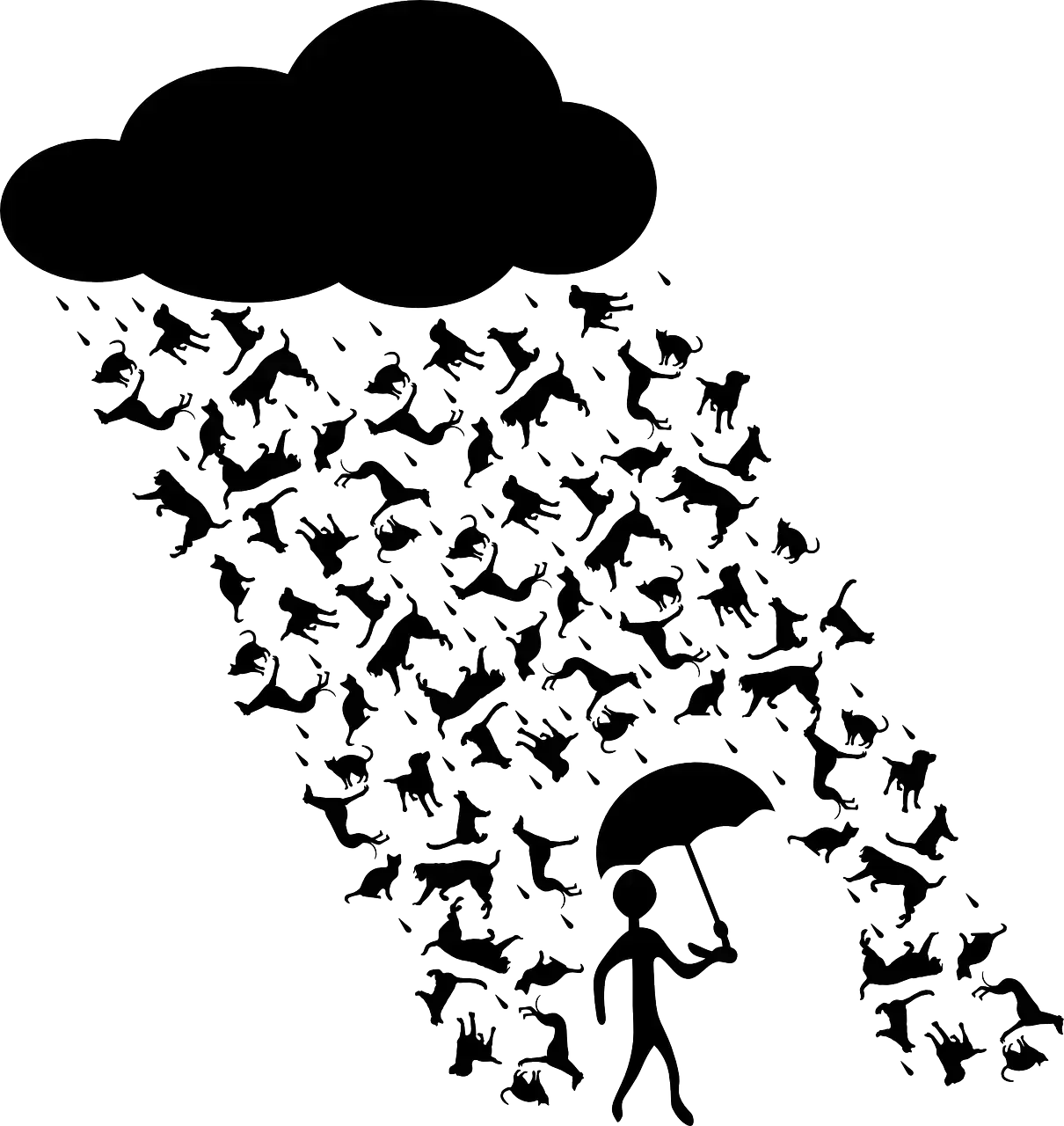 It's raining cats and dogs!