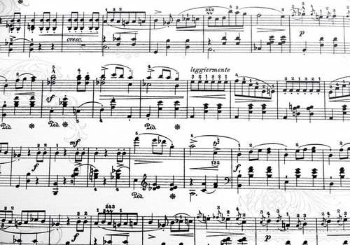 organización clase piano