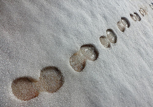 Aprended paso a paso con Duolingo.