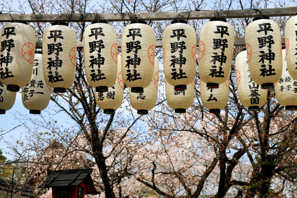 Conoce la cultura y las tradiciones japonesas.