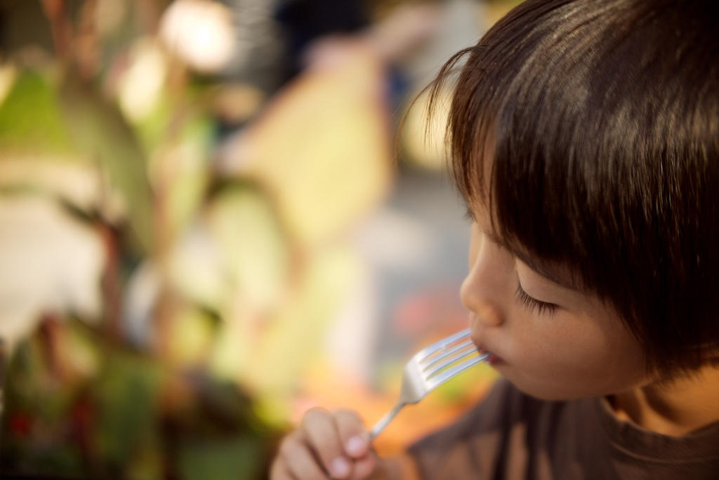 Utiliza todos los soportes disponibles para aprender japonés.