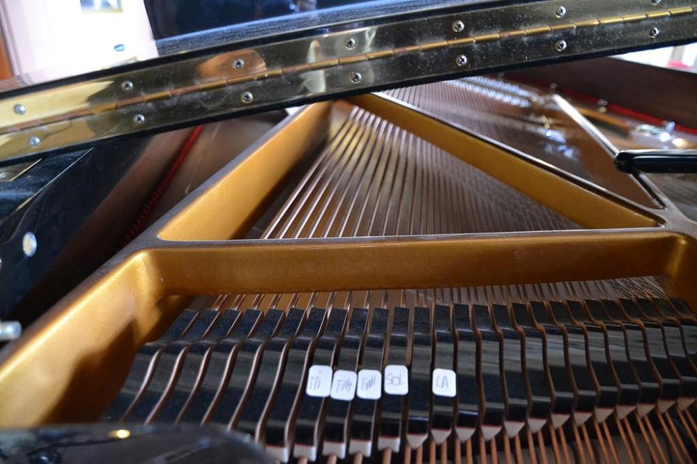 Conoce más sobre el piano de cola