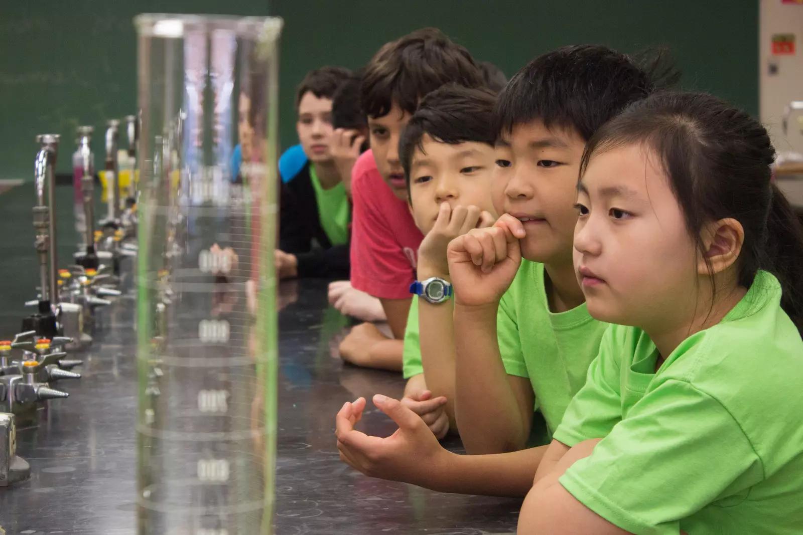 la ciencia juega un rol importante en la educación