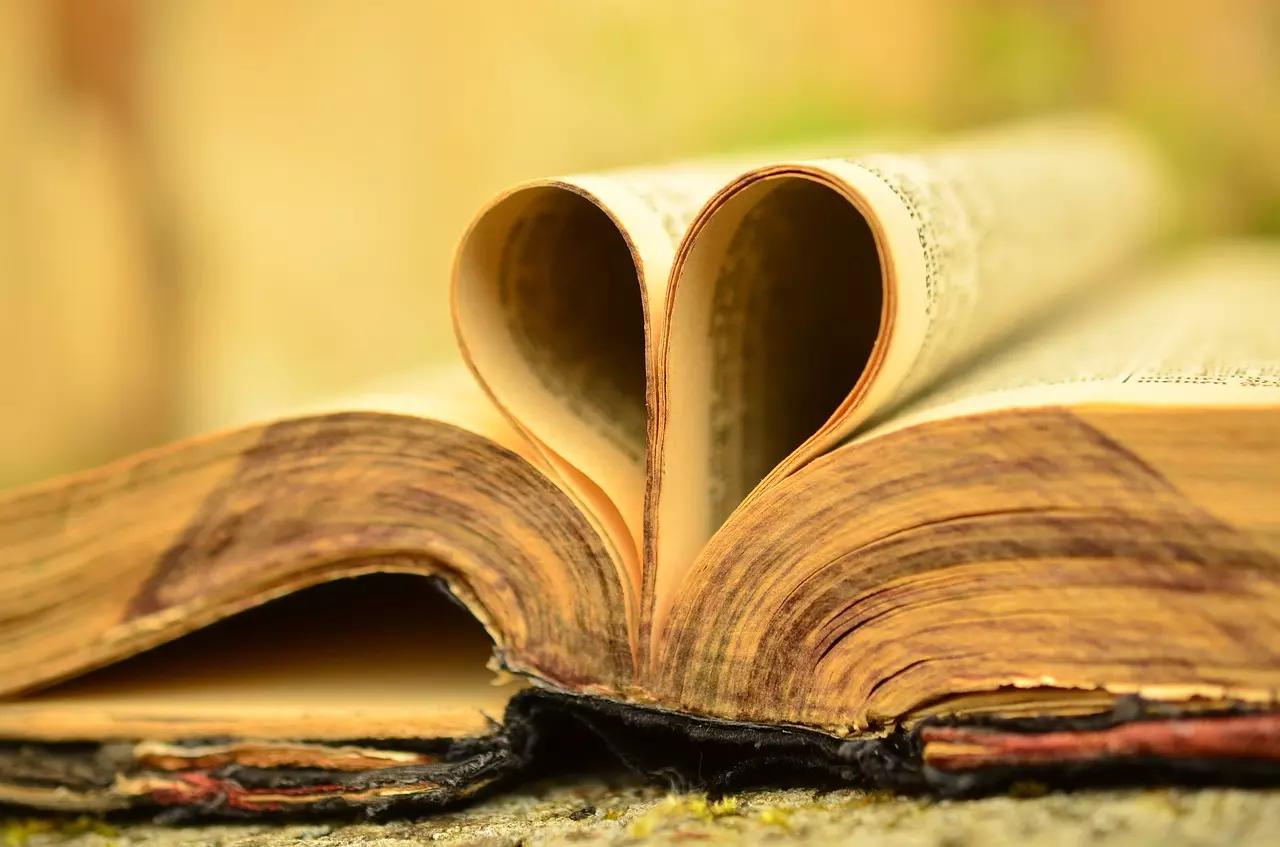 Si amás leer y escribir, una buena opción es estudiar Letras. 