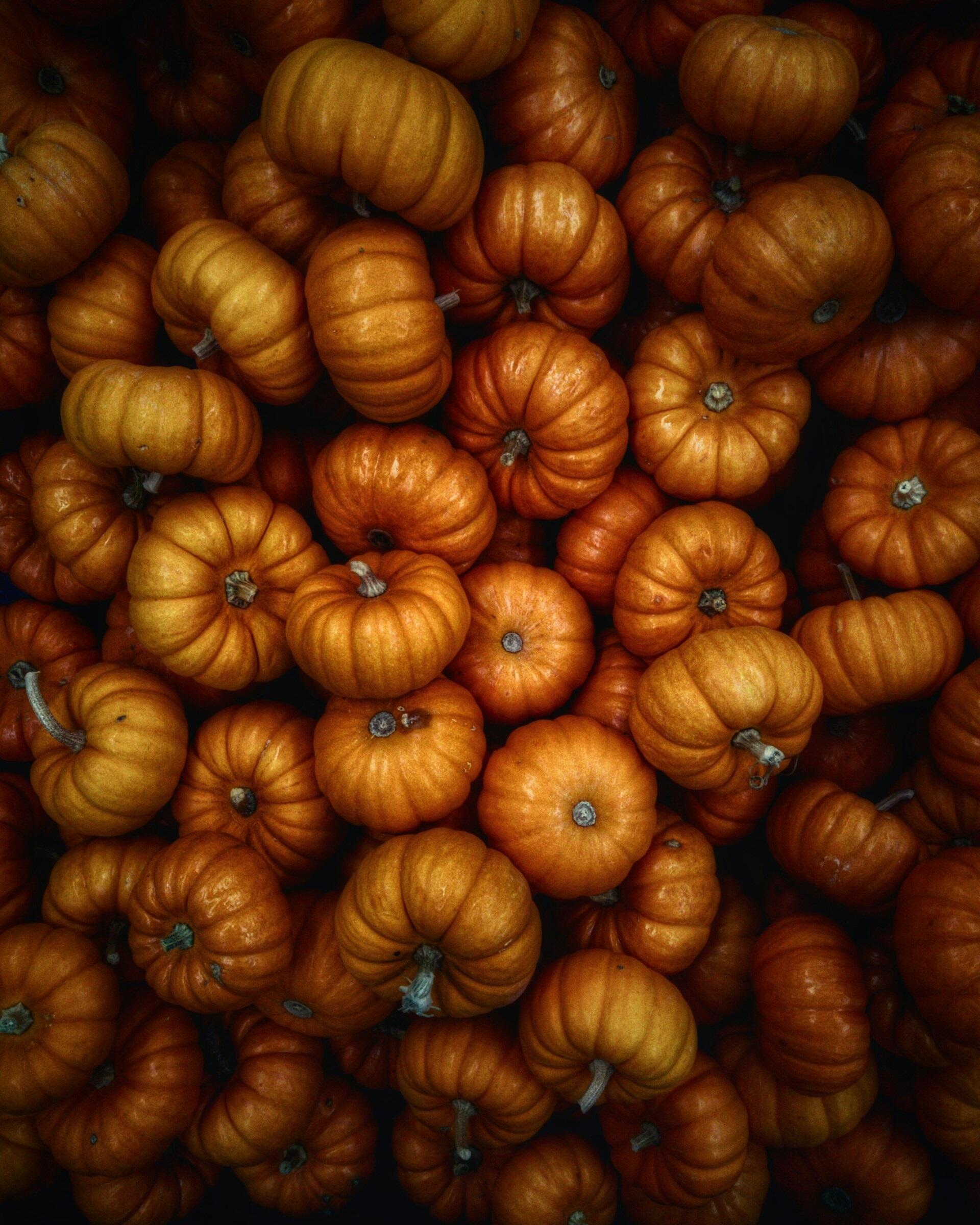 calabaza