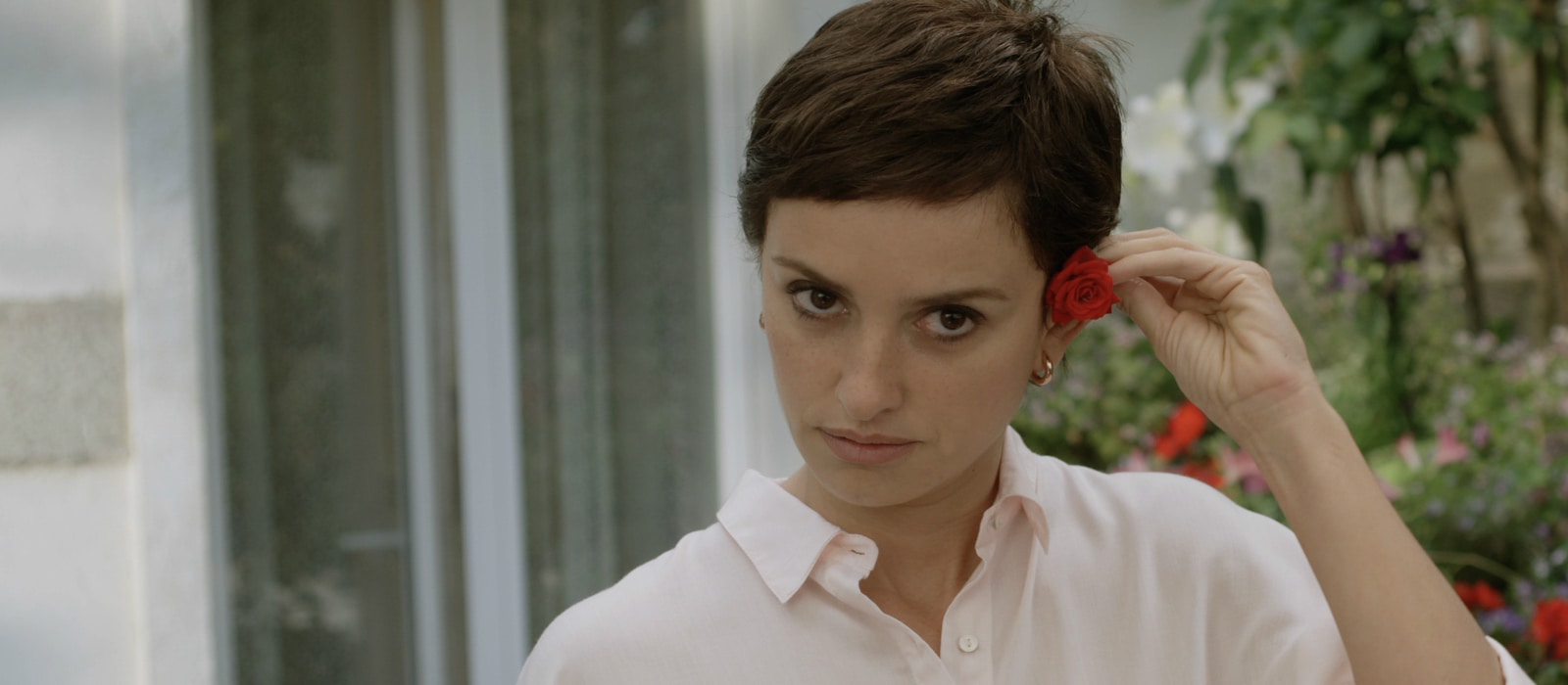 pelicula prime video en español