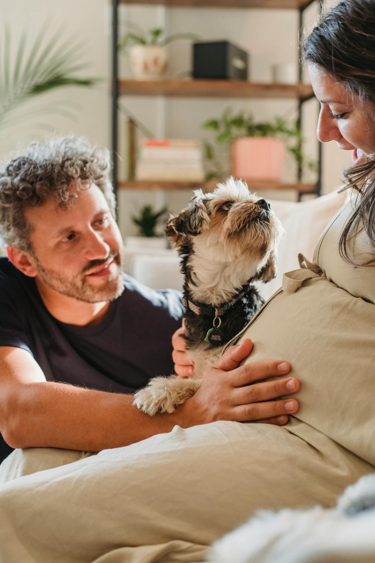 Perro, hombre y mujer embarazada.