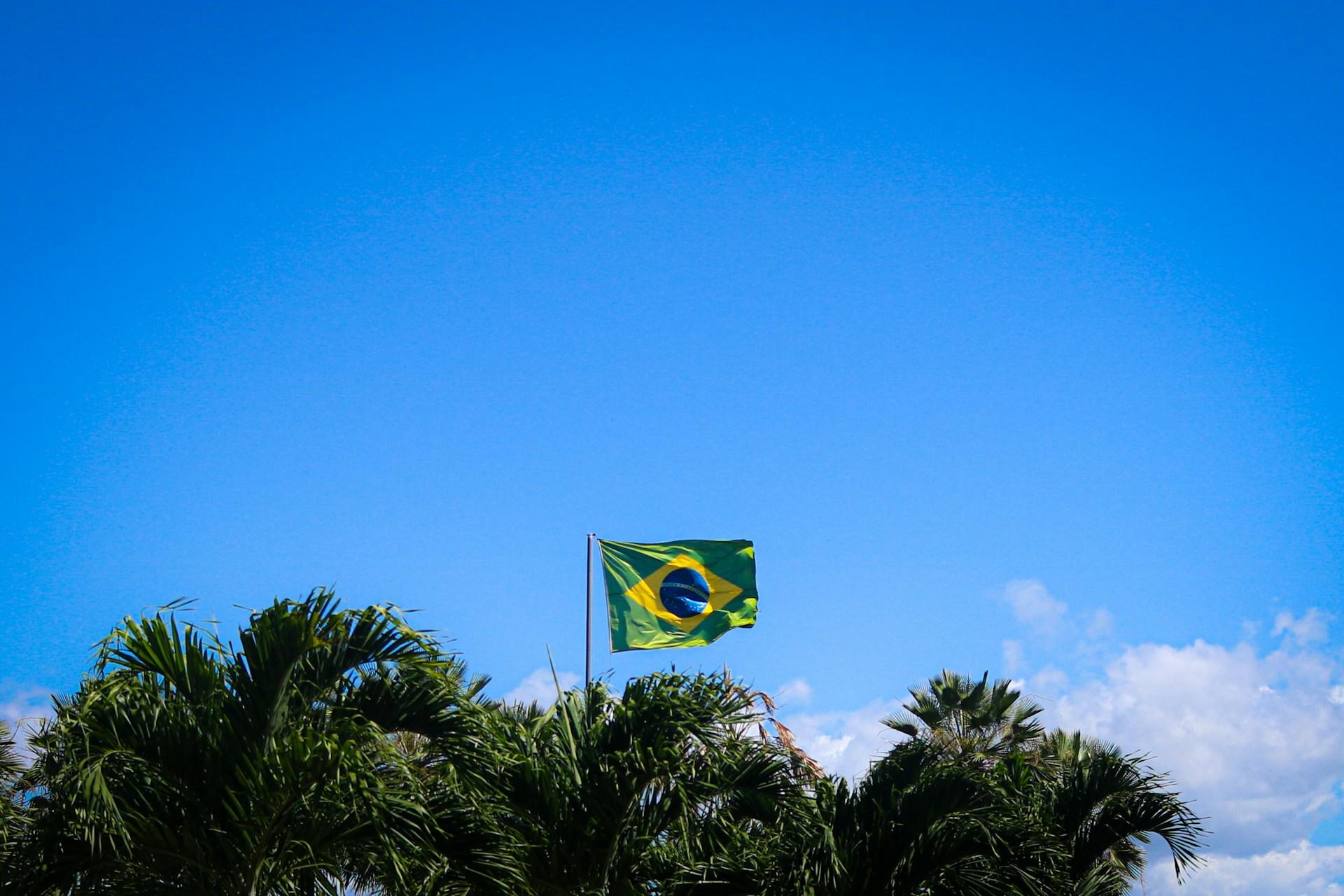 Bandera de Brasil entre plantas verdes y fondo de cielo celeste.