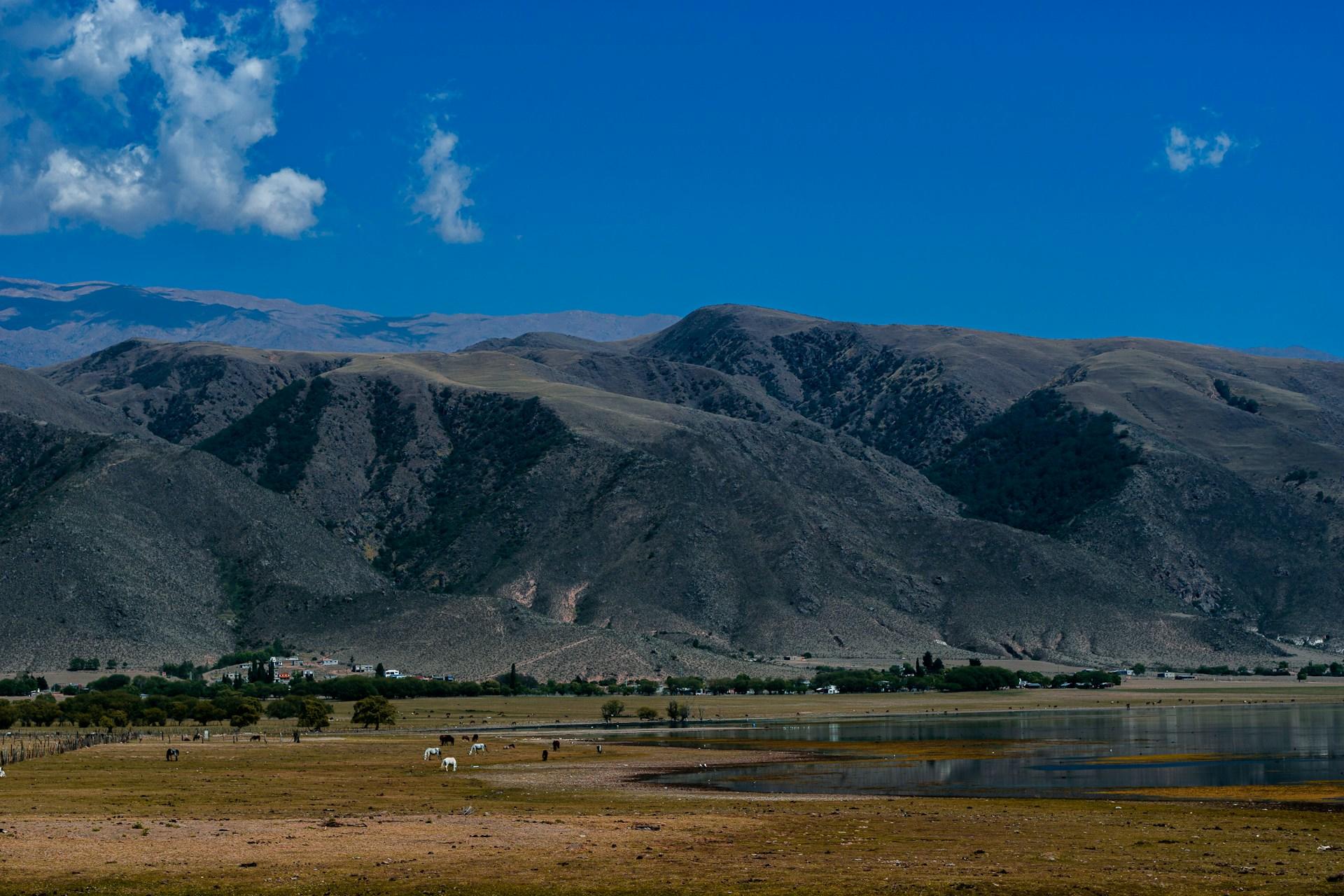 Tucumán, el Mollan