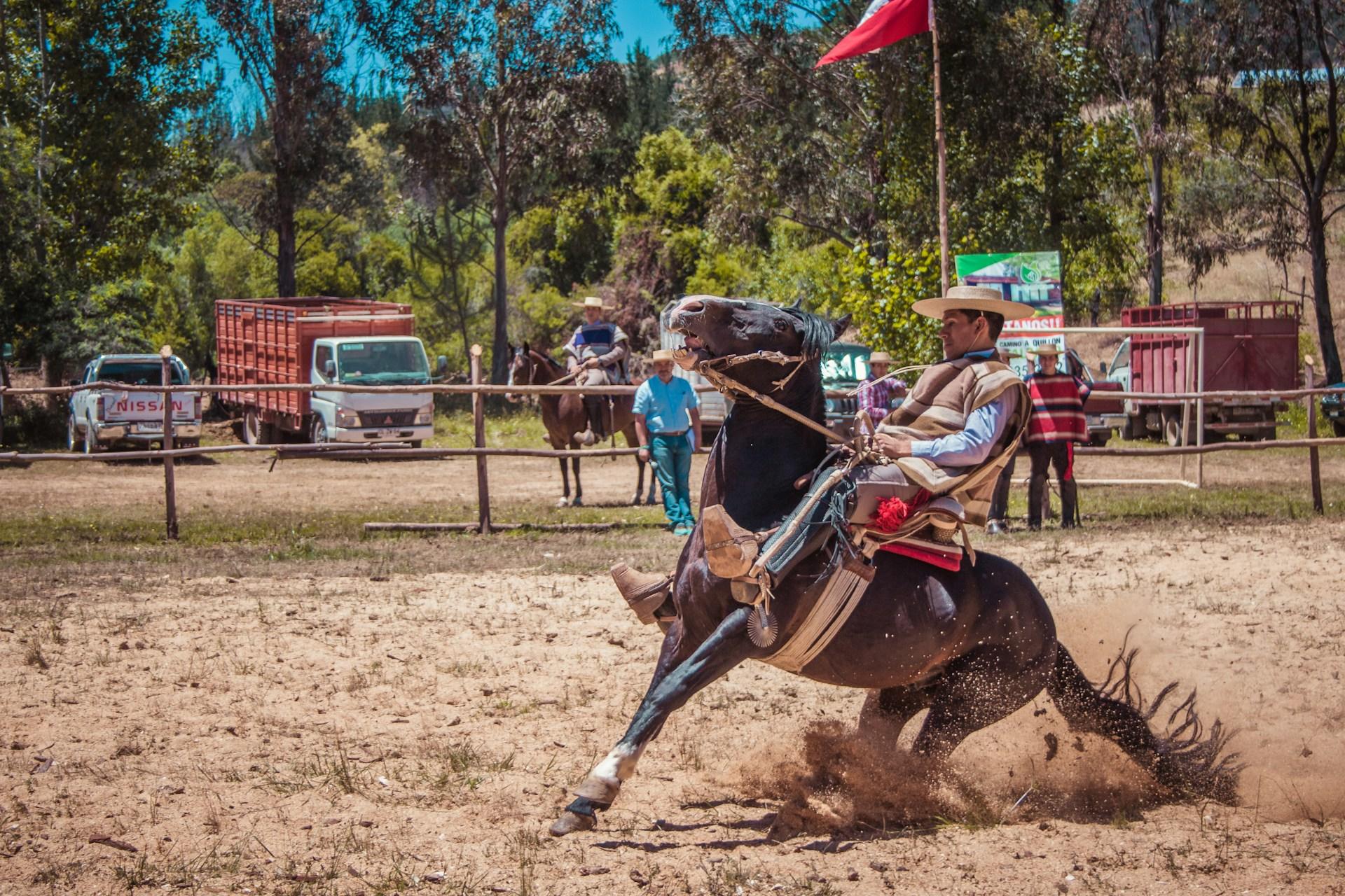 Jinete domando un caballo