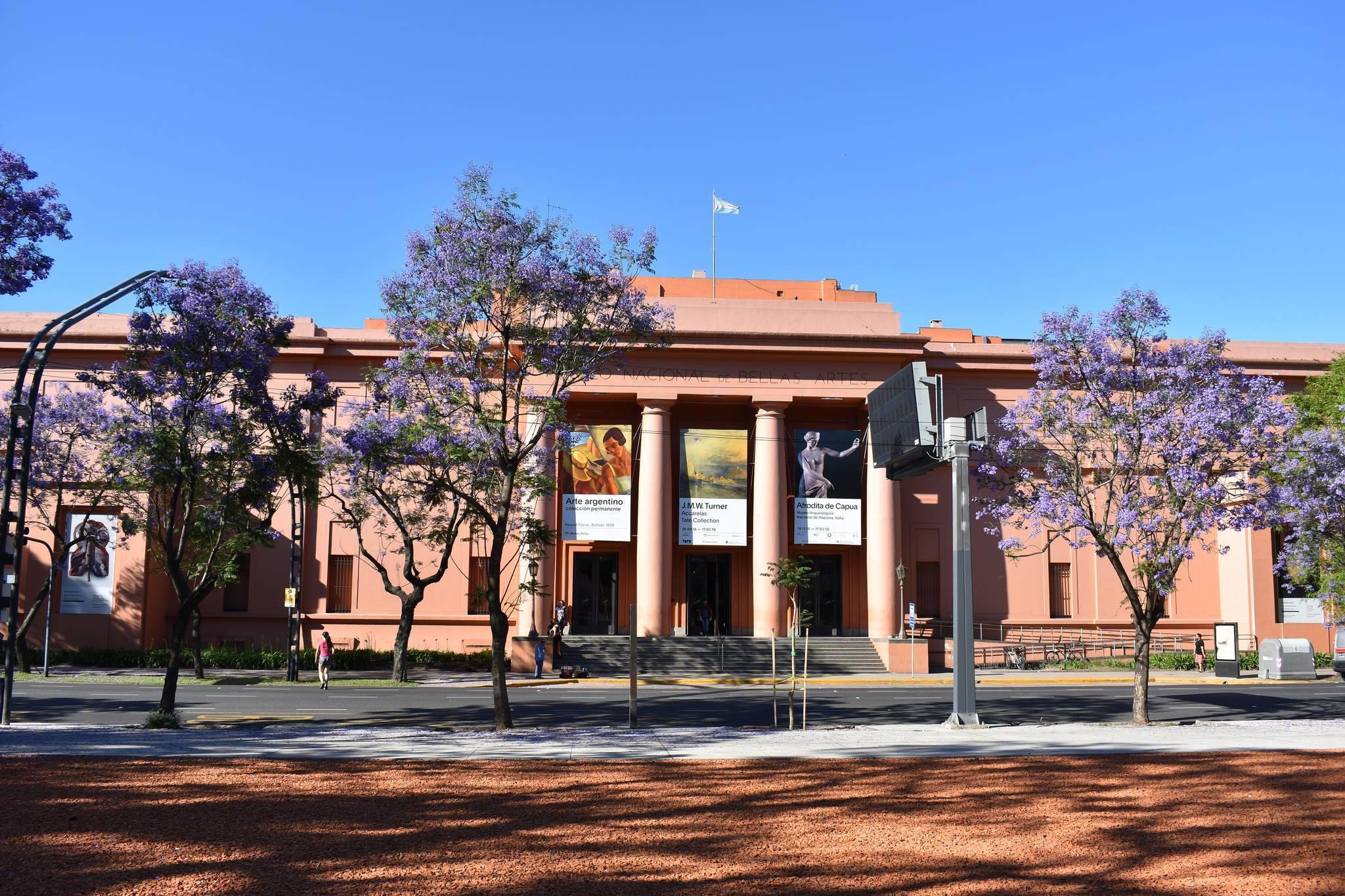 Edificio rosa detrás de los jacarandá.