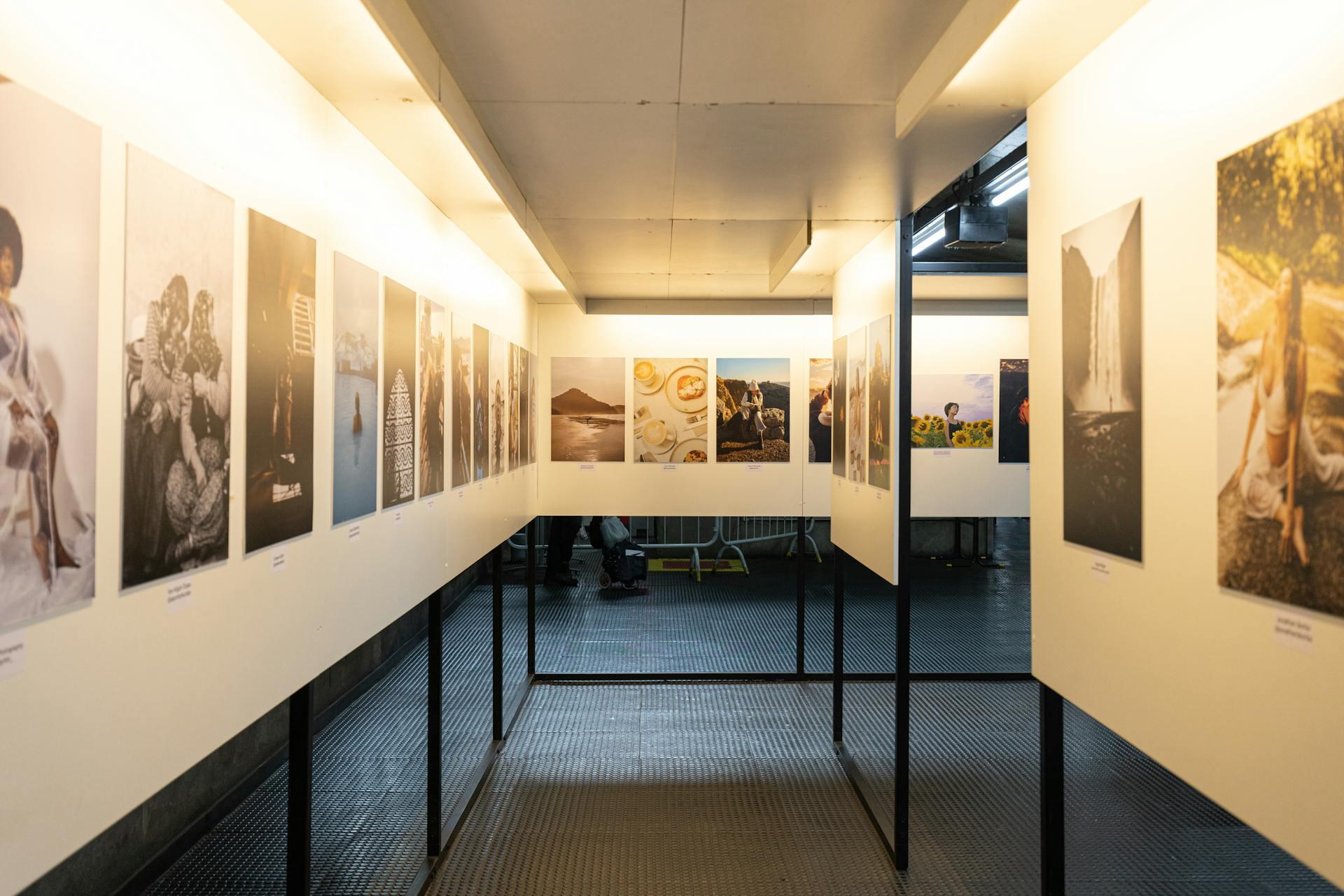 Fotografías pegadas sobre la pared blanca.