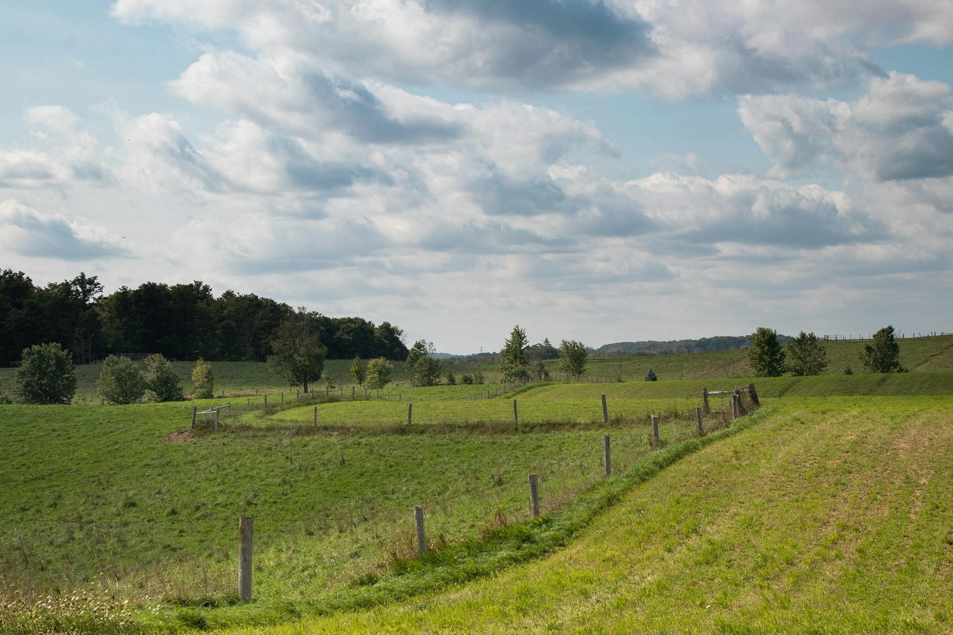 Campo con pasto verde y nubes en el cielo.