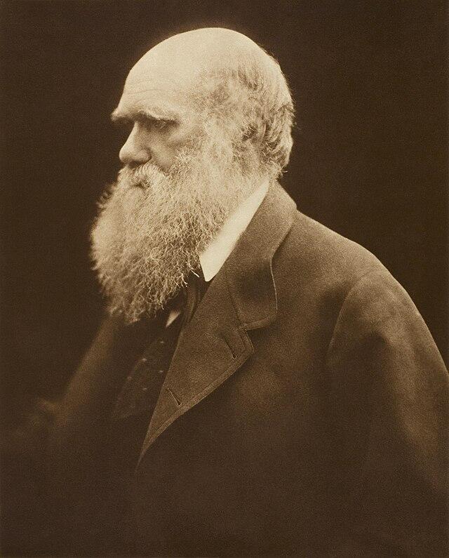 Fotografía sepia de Charles Darwin de perfil con gran barba blanca y traje negro.