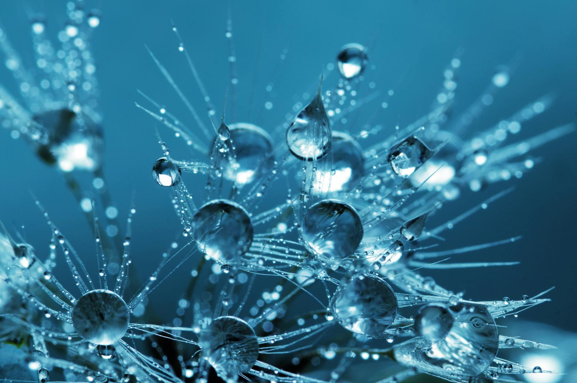 Gotas de agua sobre un fondo celeste.
