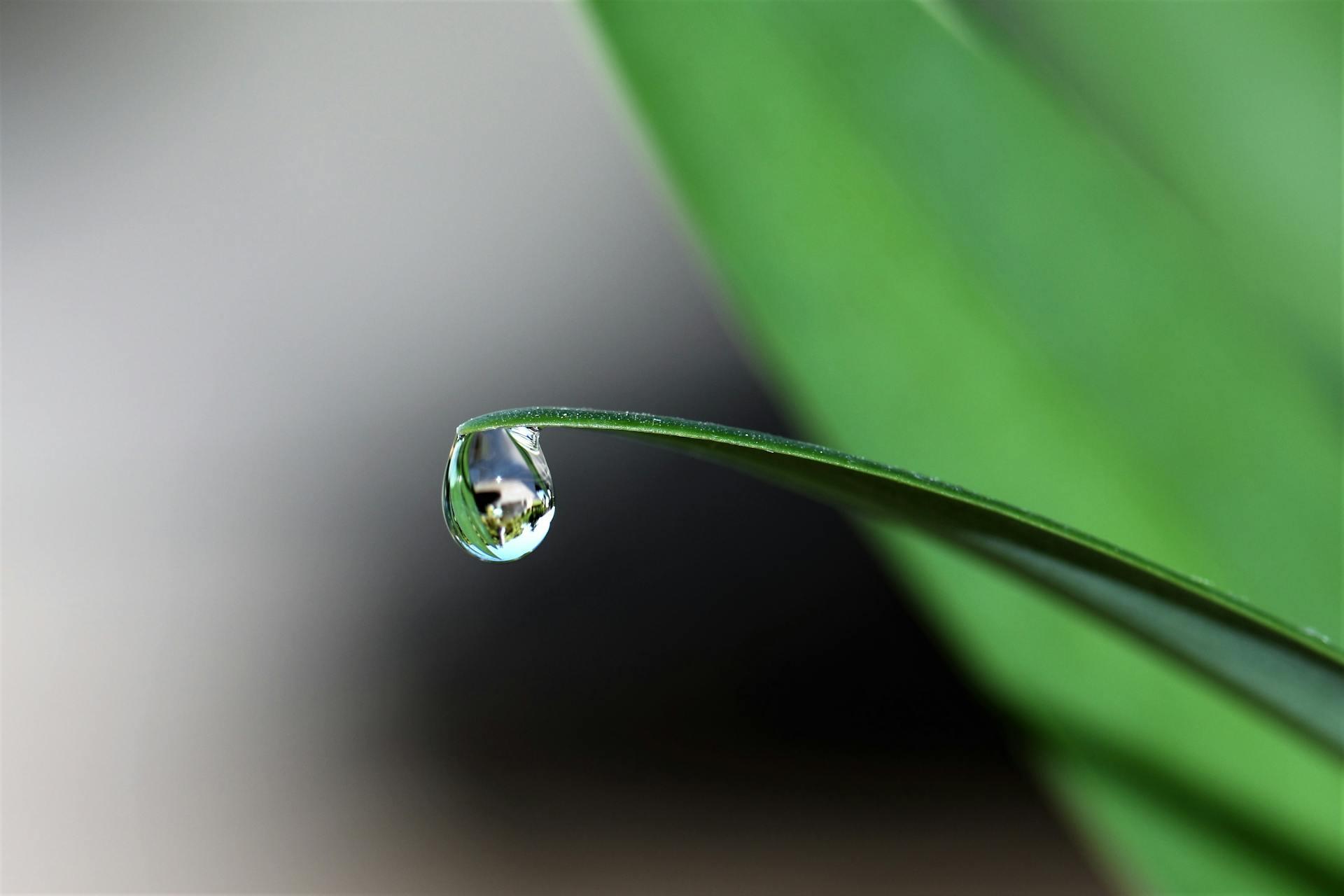 Gota de agua