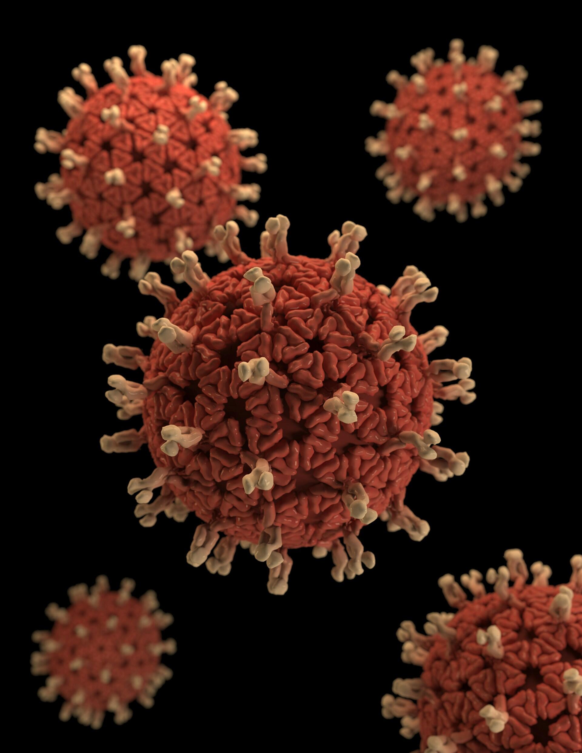 Imagen de un virus