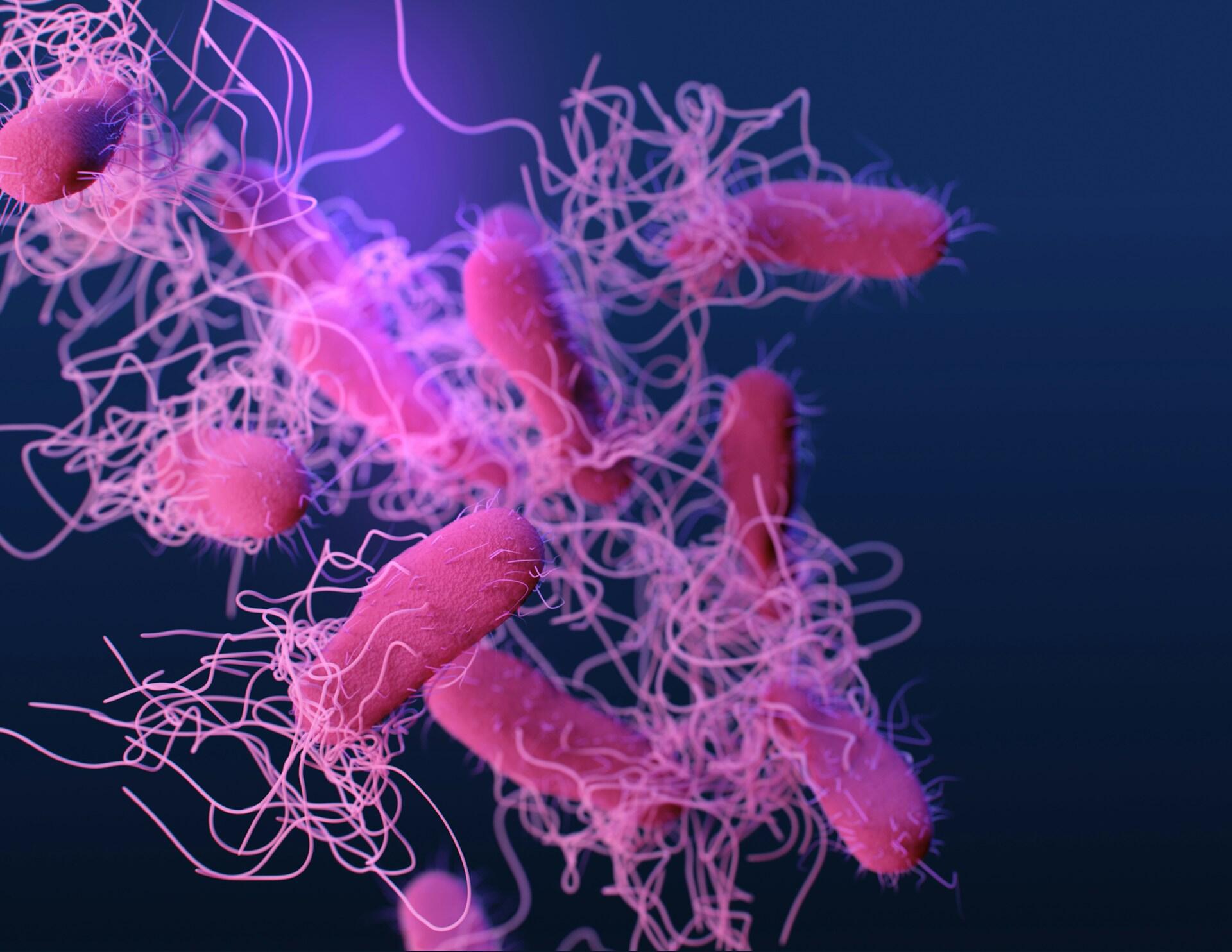 Microbiota