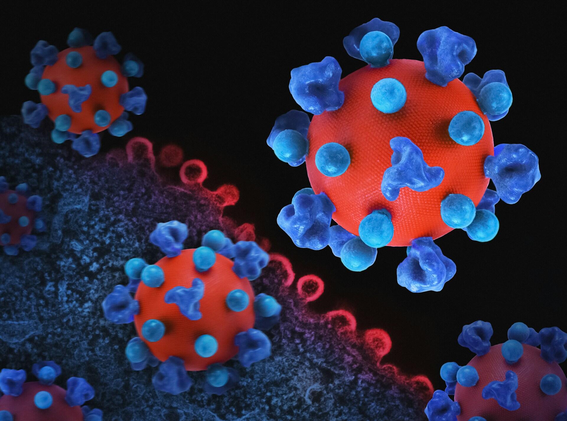 virus