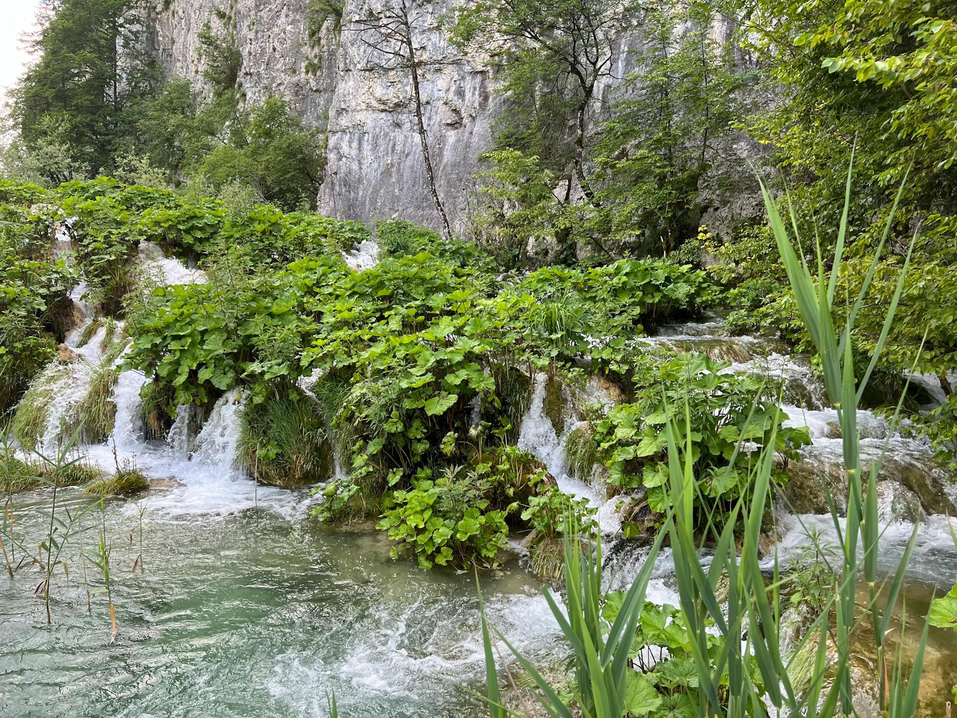 Paisaje de río, plantas y rocas.