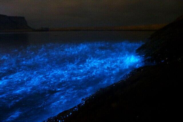 Agua iluminada en la oscuridad de la noche. 