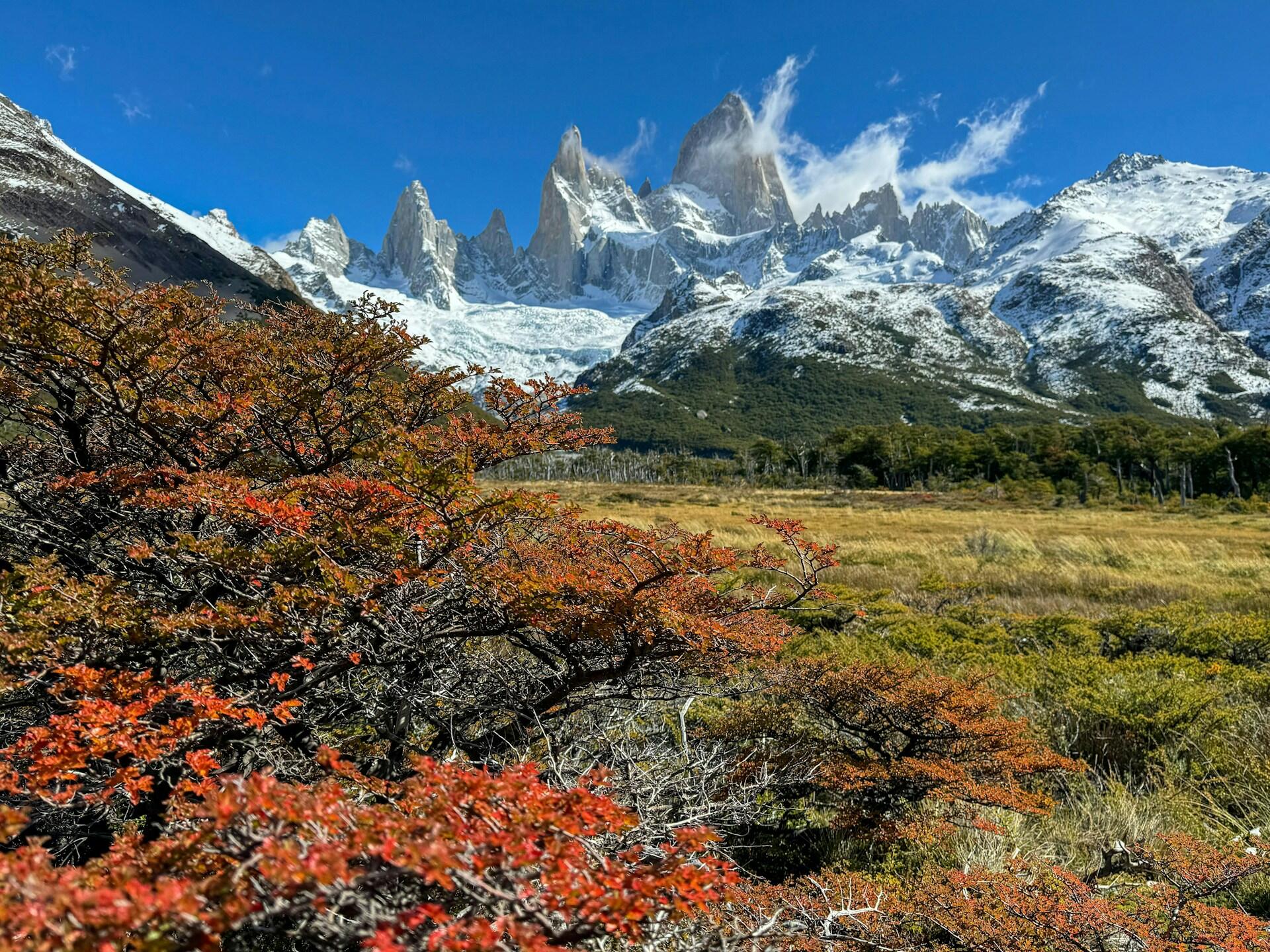Patagonia