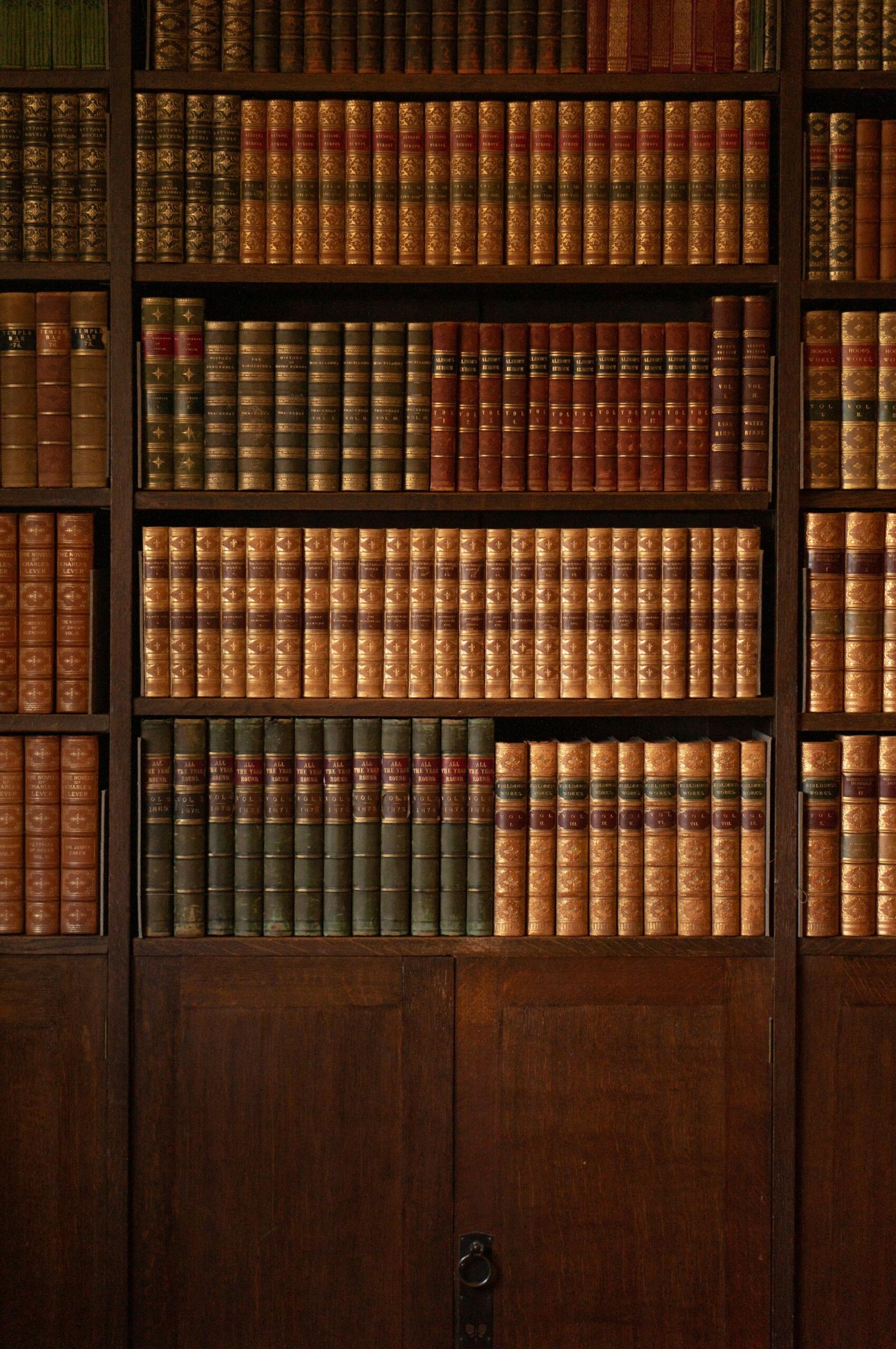 Desde una biblioteca clásica, esta imagen de Eilis Garvey representa la profunda tradición y el vasto conocimiento que requiere el estudio del derecho.