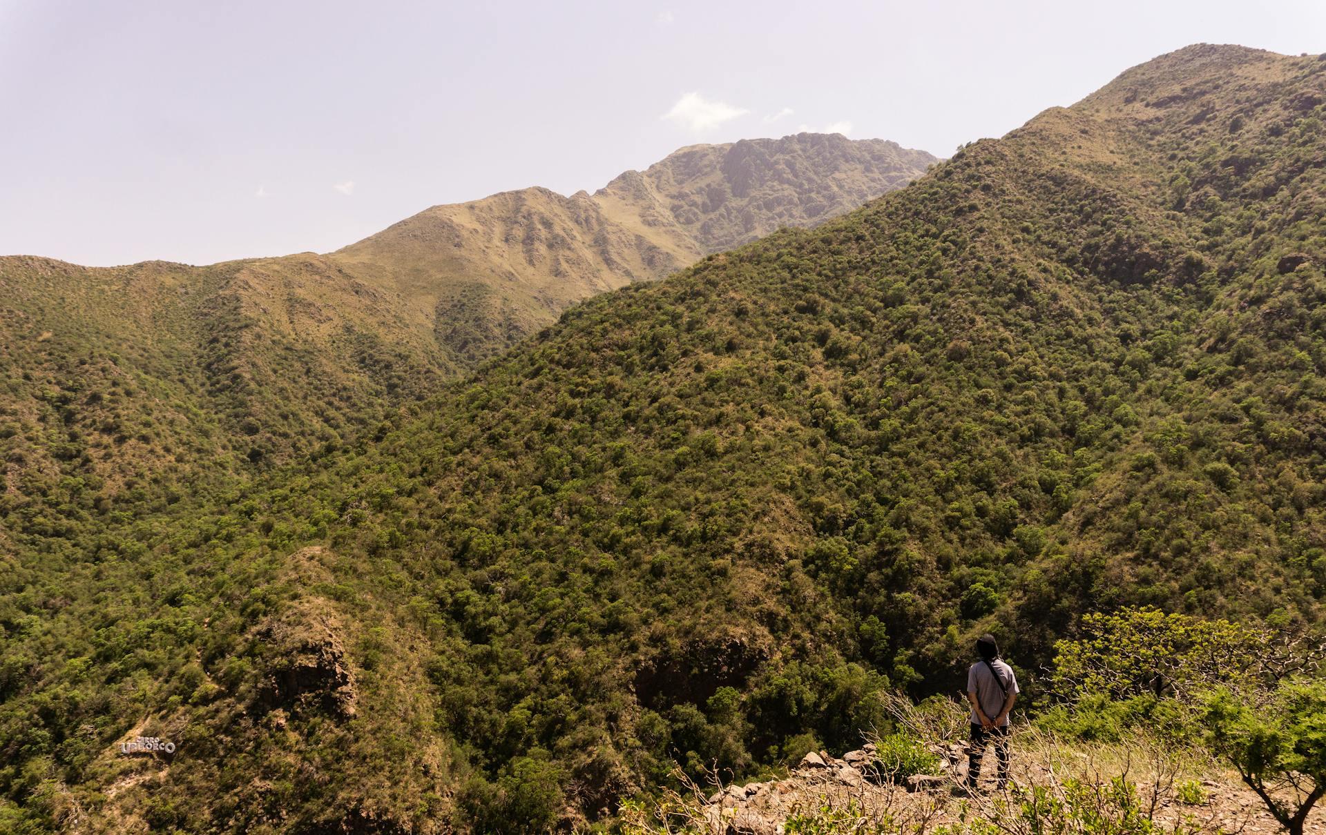 Vista panorámica de las sierras de Córdoba, Argentina, con vegetación verde y montañas al fondo. Fotografía de Mariela Elizabeth Robles.
