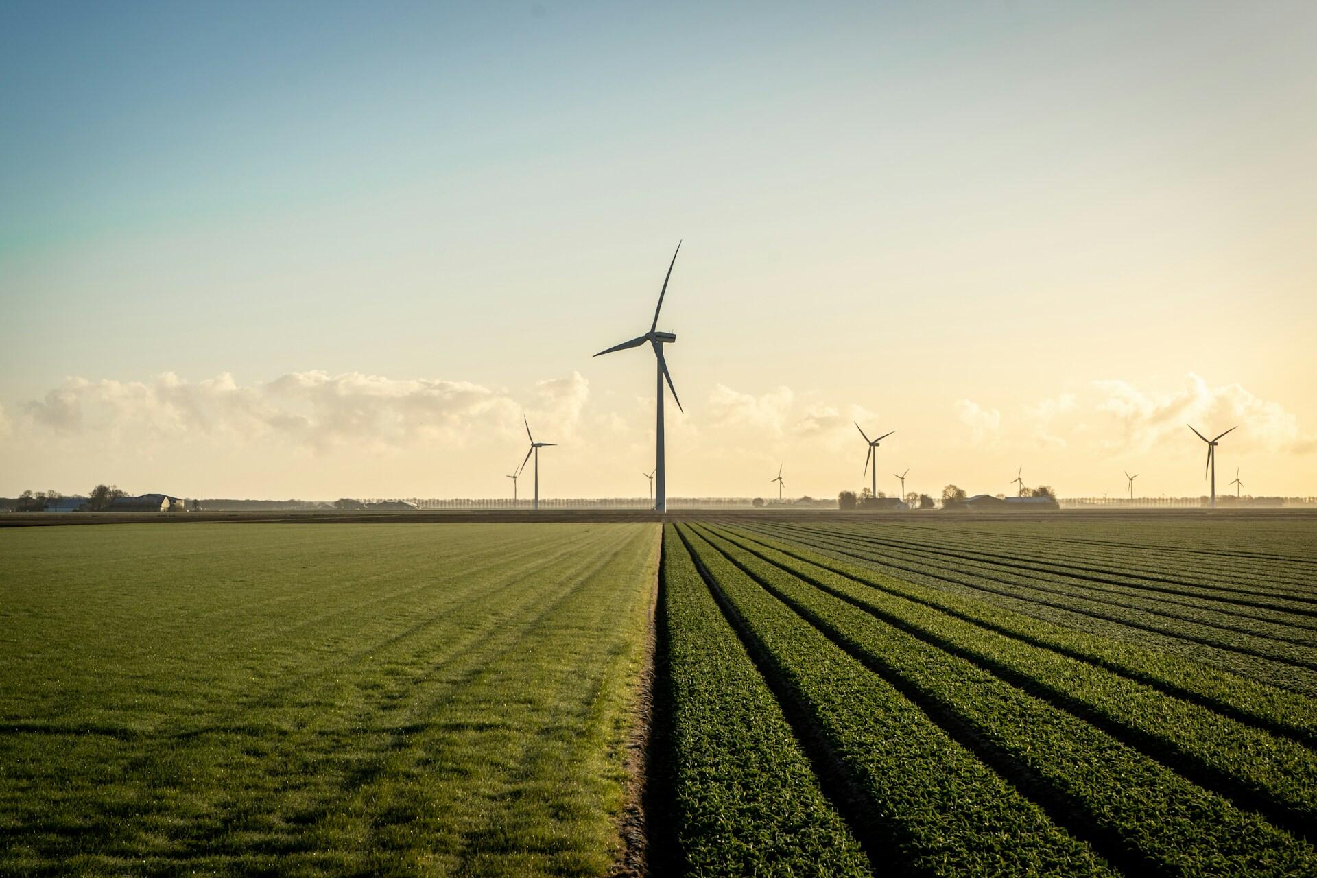 Campo en Holanda con turbinas eólicas generando energía renovable al atardecer, una fuente clave para el hidrógeno verde. Fotografía de Peter Beukema.