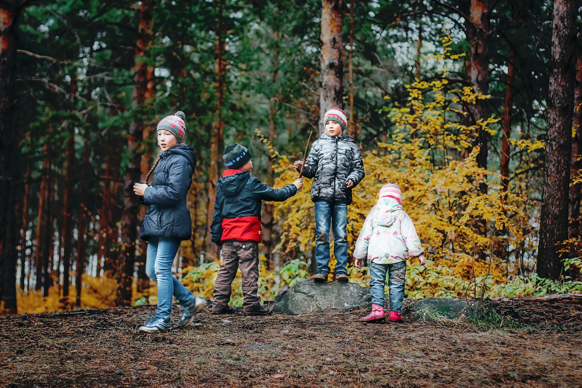 Niños jugando en el bosque.