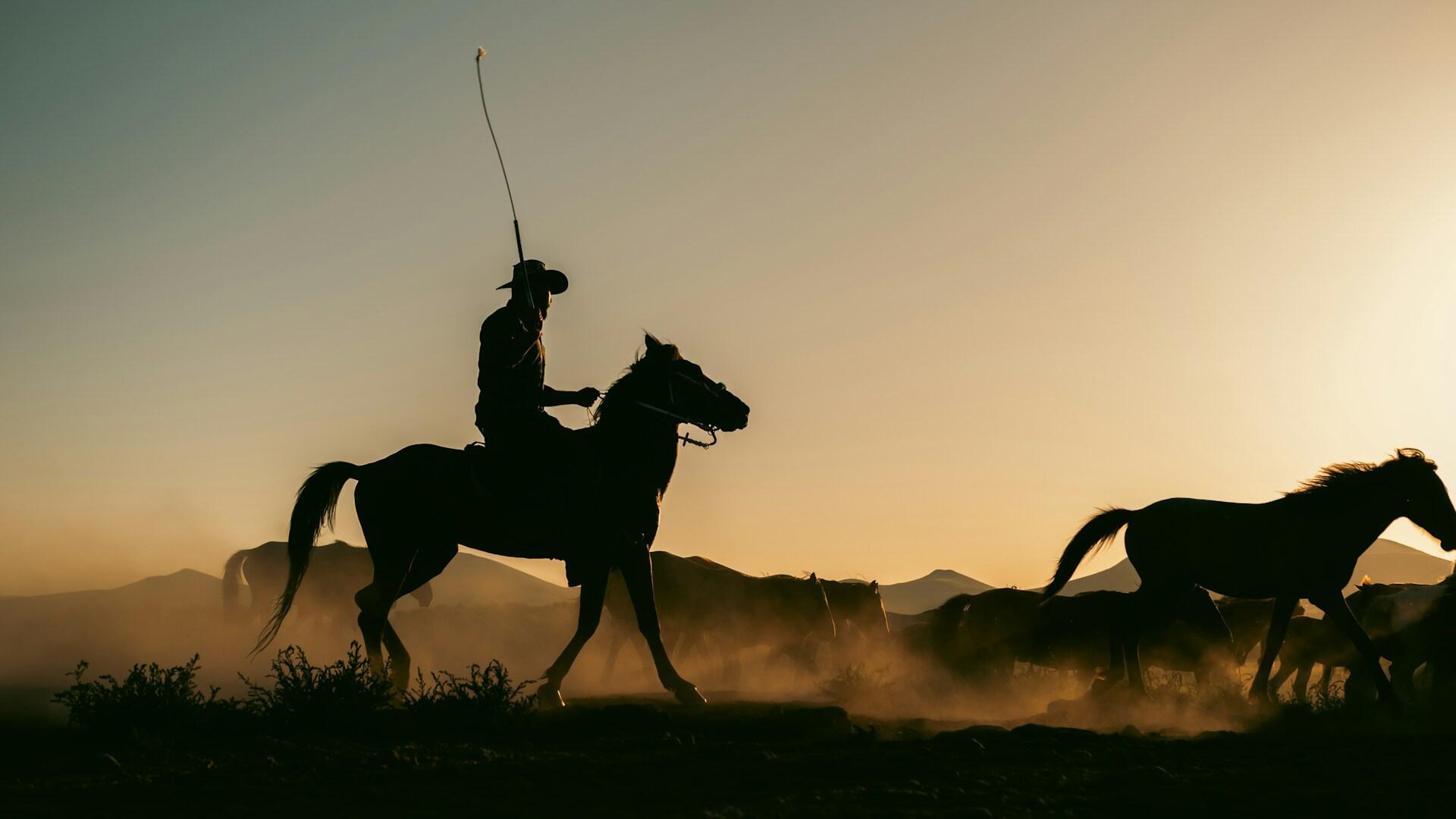 Silueta de un jinete a caballo al atardecer, representando el épico cruce de los Andes realizado por San Martín, fotografía de Cemrecan Yurtman.