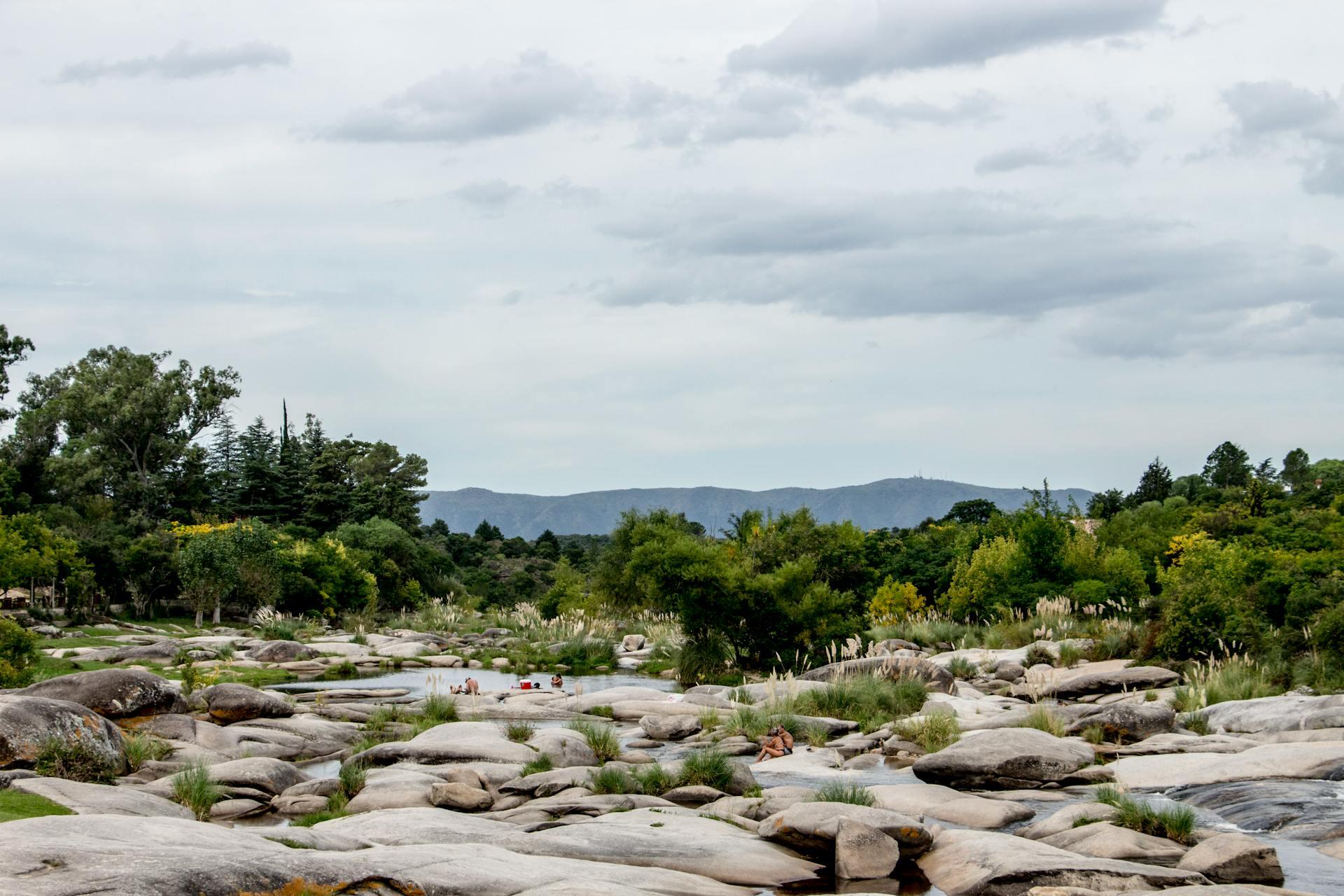 Paisaje con rocas, árboles y montañas de fondo.