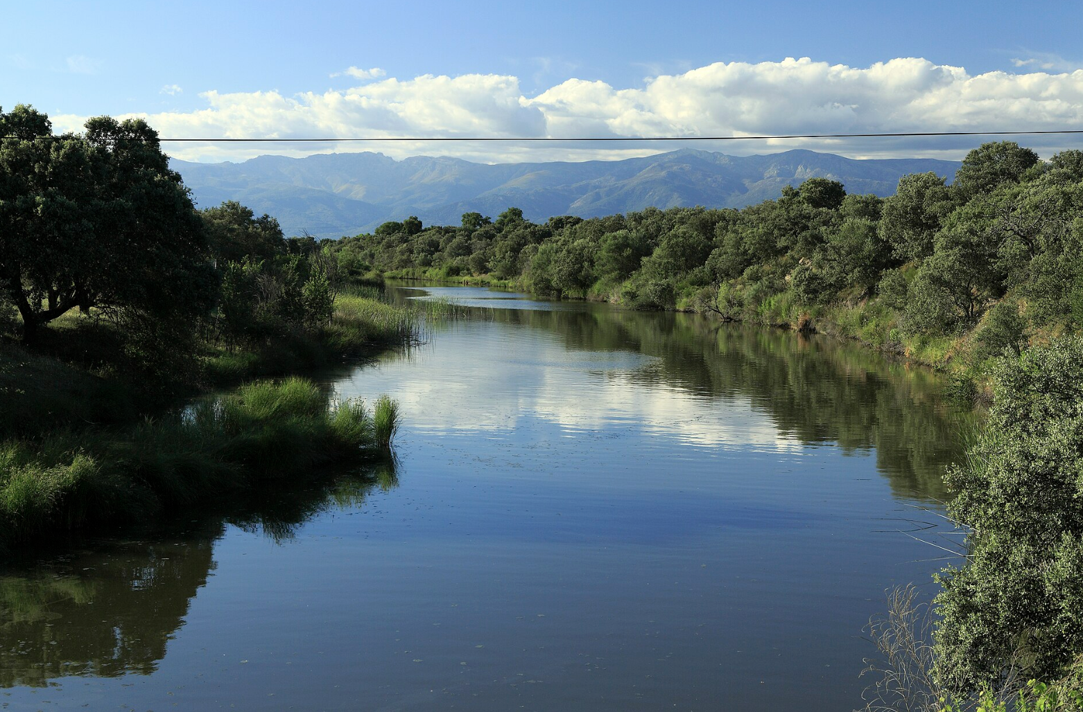 Río El Tala, Catamarca: Aguas tranquilas rodeadas de vegetación espesa y montañas al fondo. Fuente: Wiki Commons.
