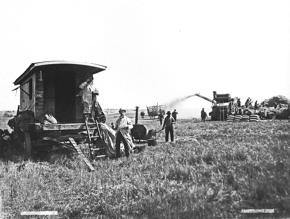 Cosecha de trigo en la provincia de Buenos Aires, hacia el año 1900.