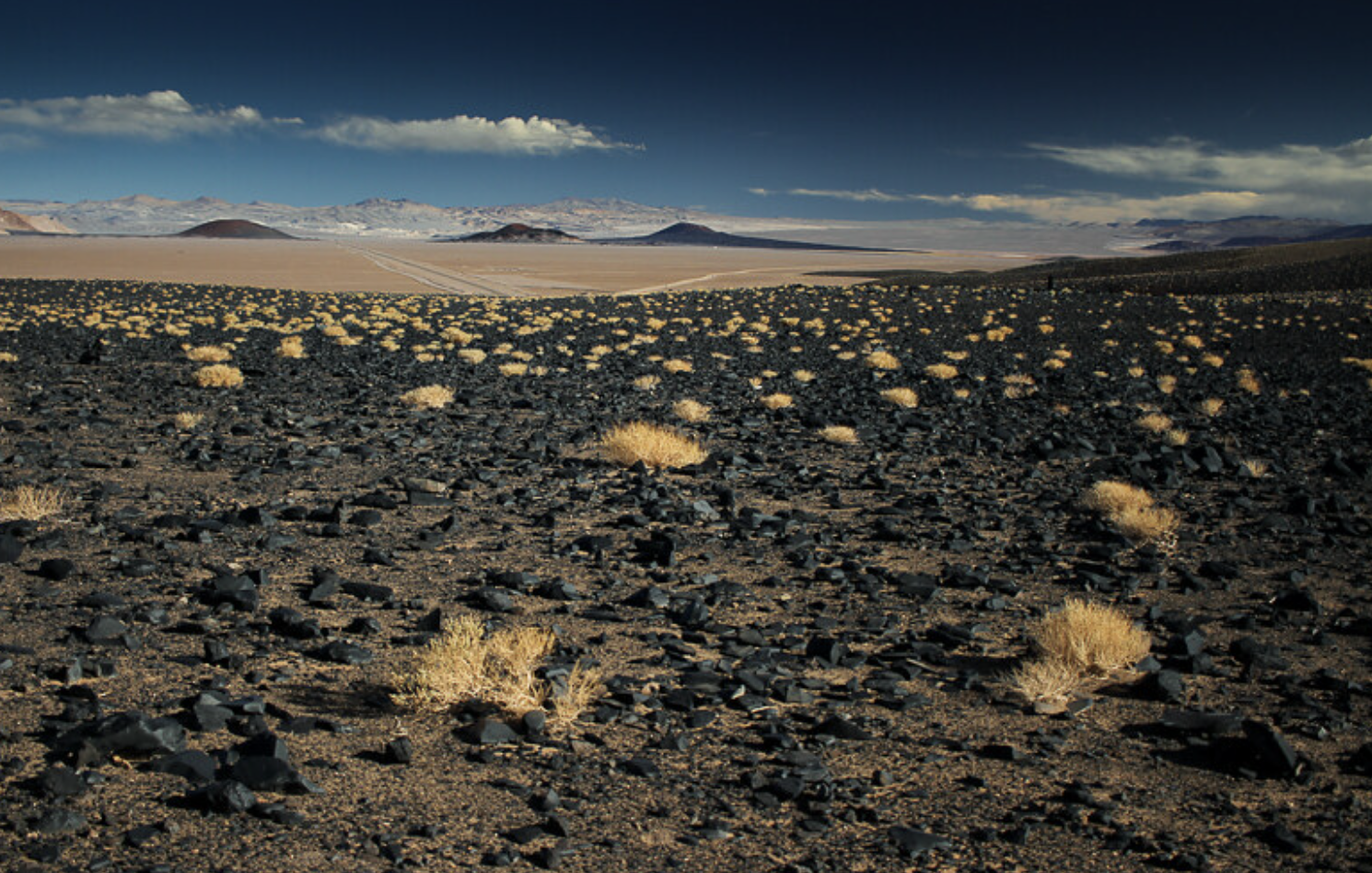 Antofagasta de la Sierra, Catamarca: Paisaje de la Puna con rocas volcánicas negras y volcanes. Fuente: Wiki Commons.