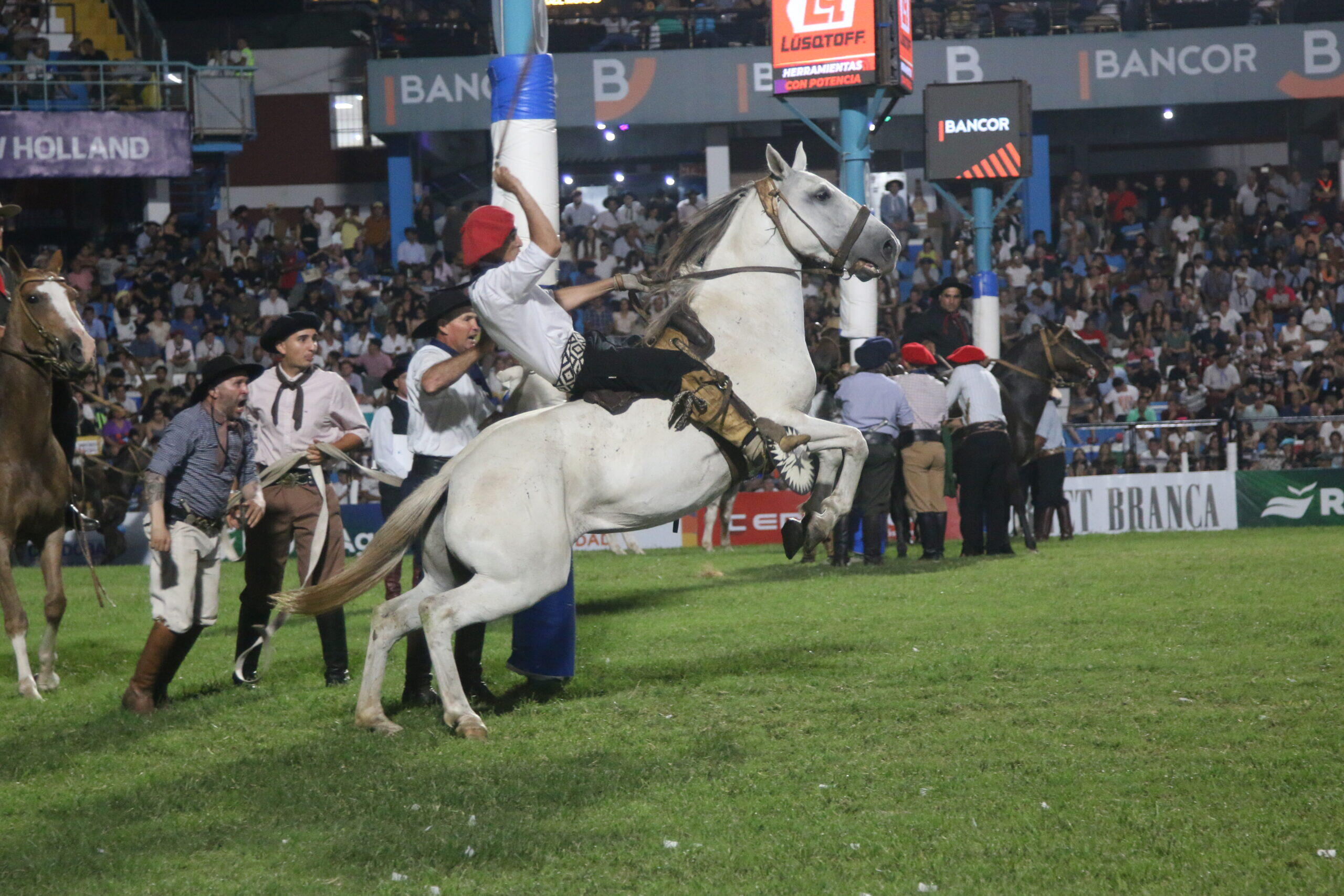 Gaucho domando a un caballo blanco delante de las tribunas.