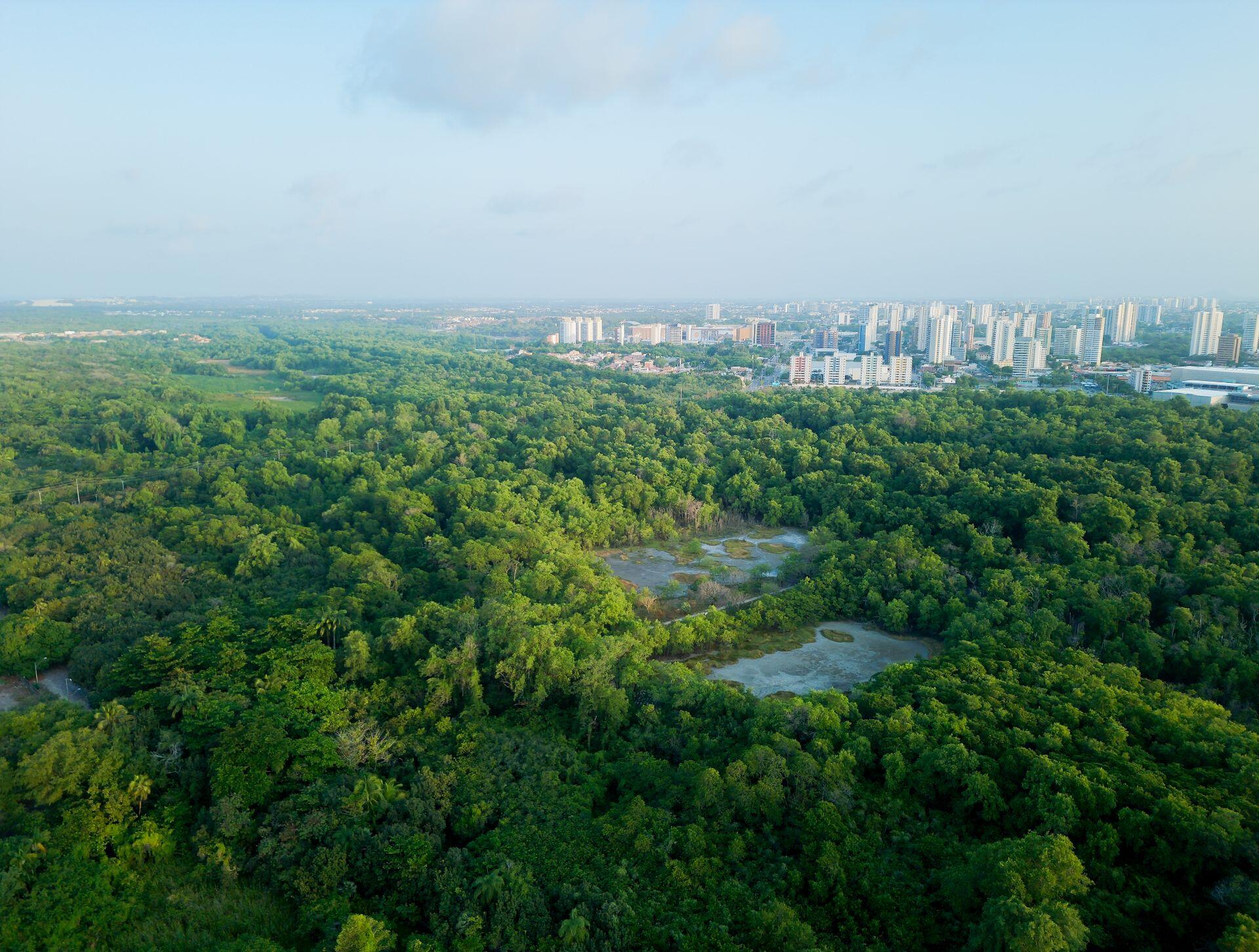 Vegetación y agua delante de la ciudad con edificios.