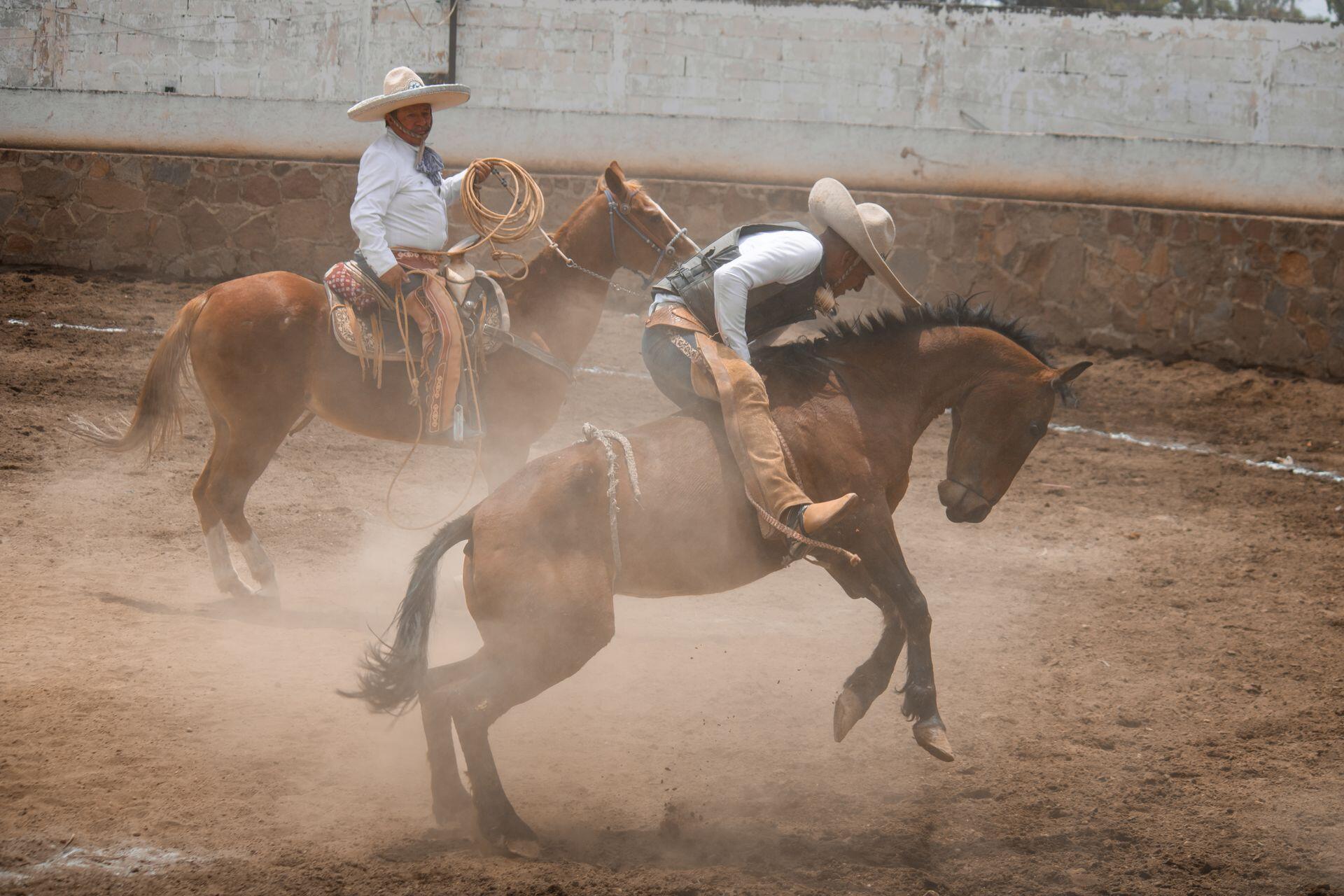 Dos junetes arriba de los caballos de pejale marrón.