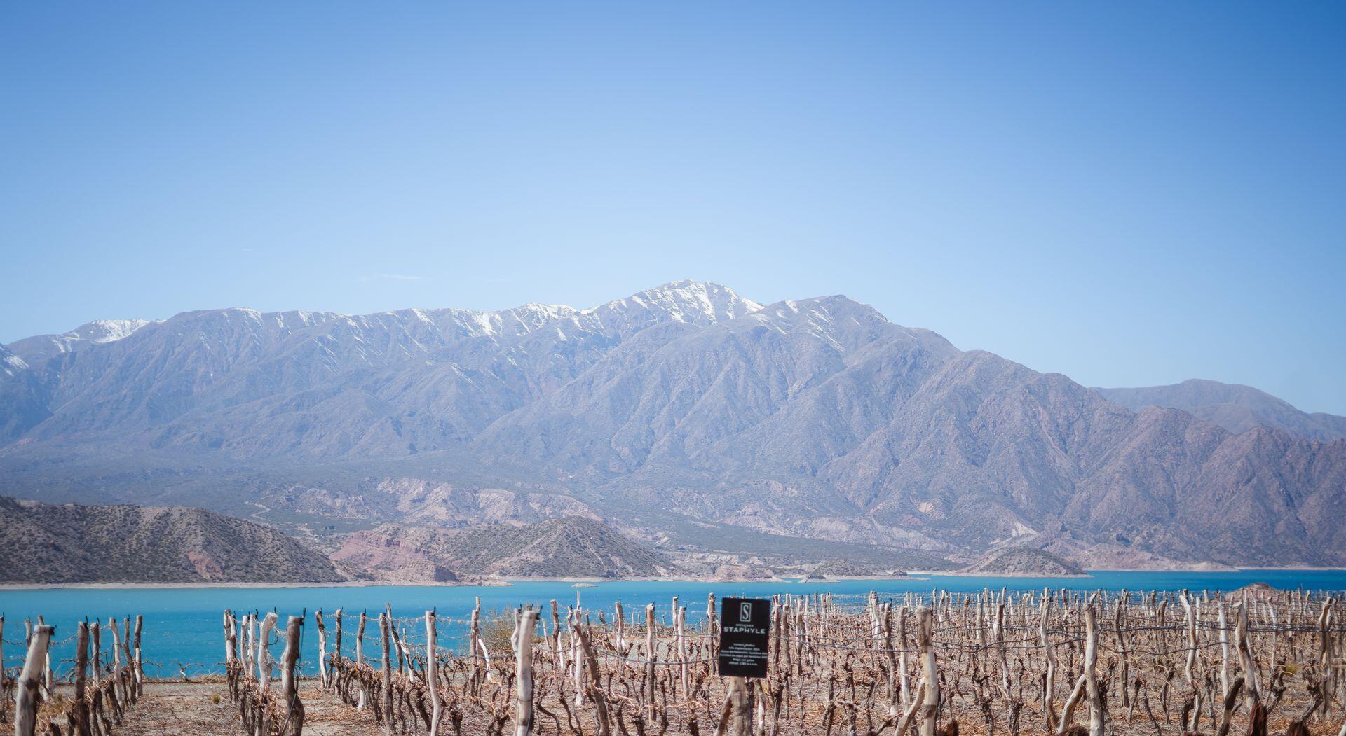 Potrerillos, Mendoza: Vista panorámica de la cordillera de los Andes y el lago desde un viñedo. Foto: Andres Alaniz.