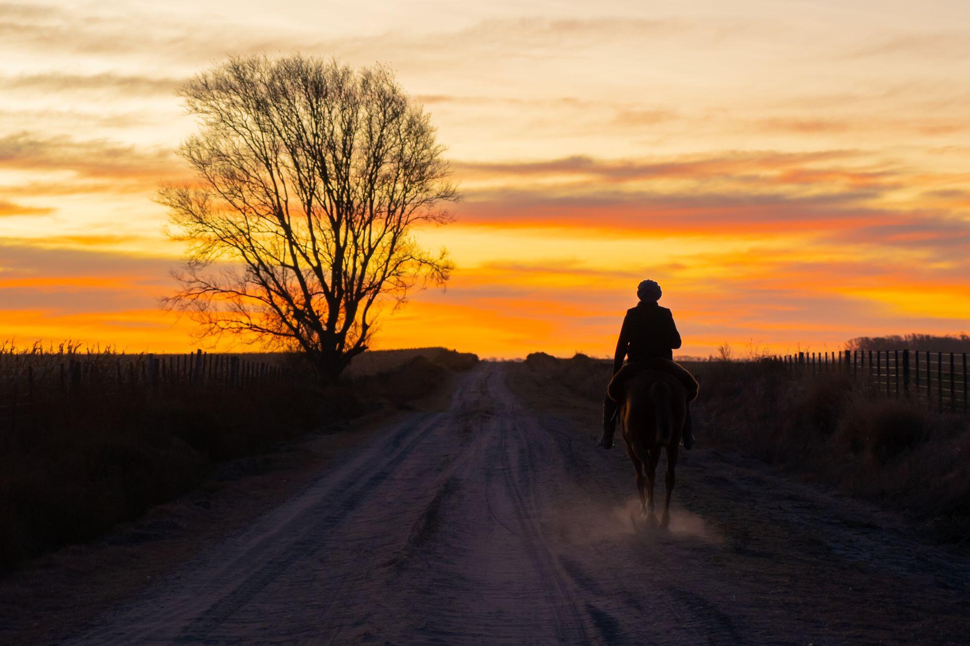 Jinete a caballo por un camino polvoriento al atardecer en Catriló, La Pampa, Argentina. Fuente: Ber Guarrochena, Pexels.