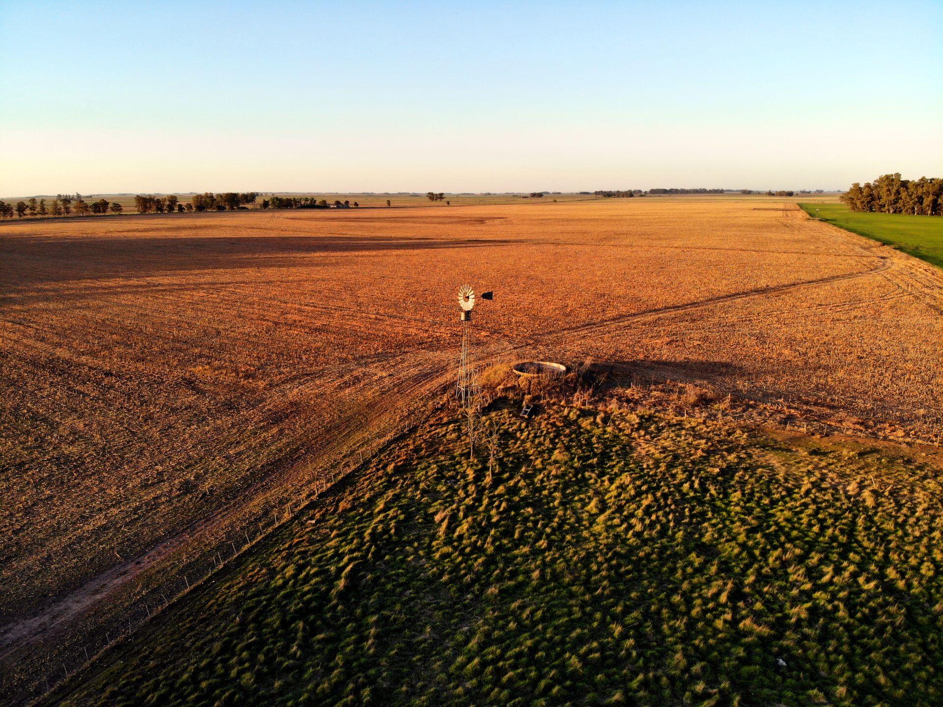Campo abierto en la pampa argentina con un molino al atardecer, representando el territorio rural donde acecha el lobizón. Foto de Clip It Comunicación.