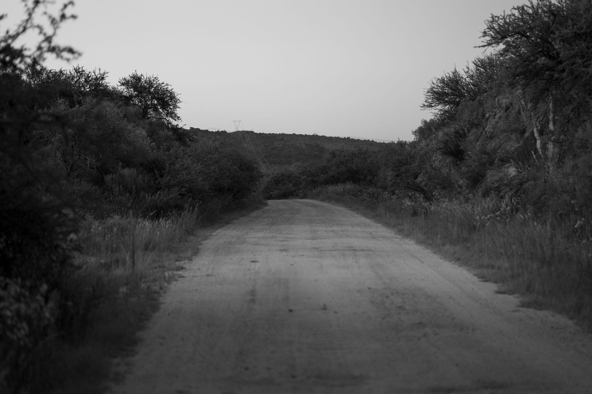 Camino rural rodeado de vegetación al atardecer en Córdoba, Argentina. Fuente: Tomás Asurmendi, Pexels.