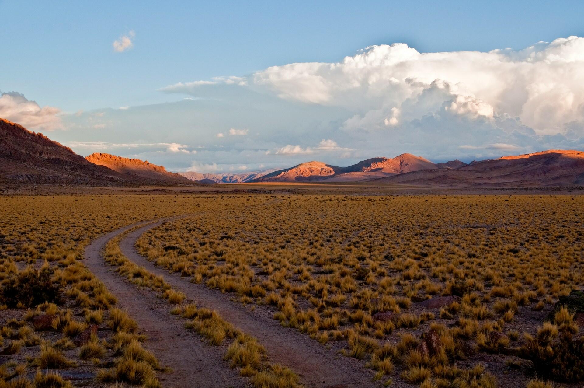 San Juan, Argentina. Camino de tierra que atraviesa el desierto sanjuanino, representando la travesía de Deolinda Correa. Foto de Mario Rodriguez.