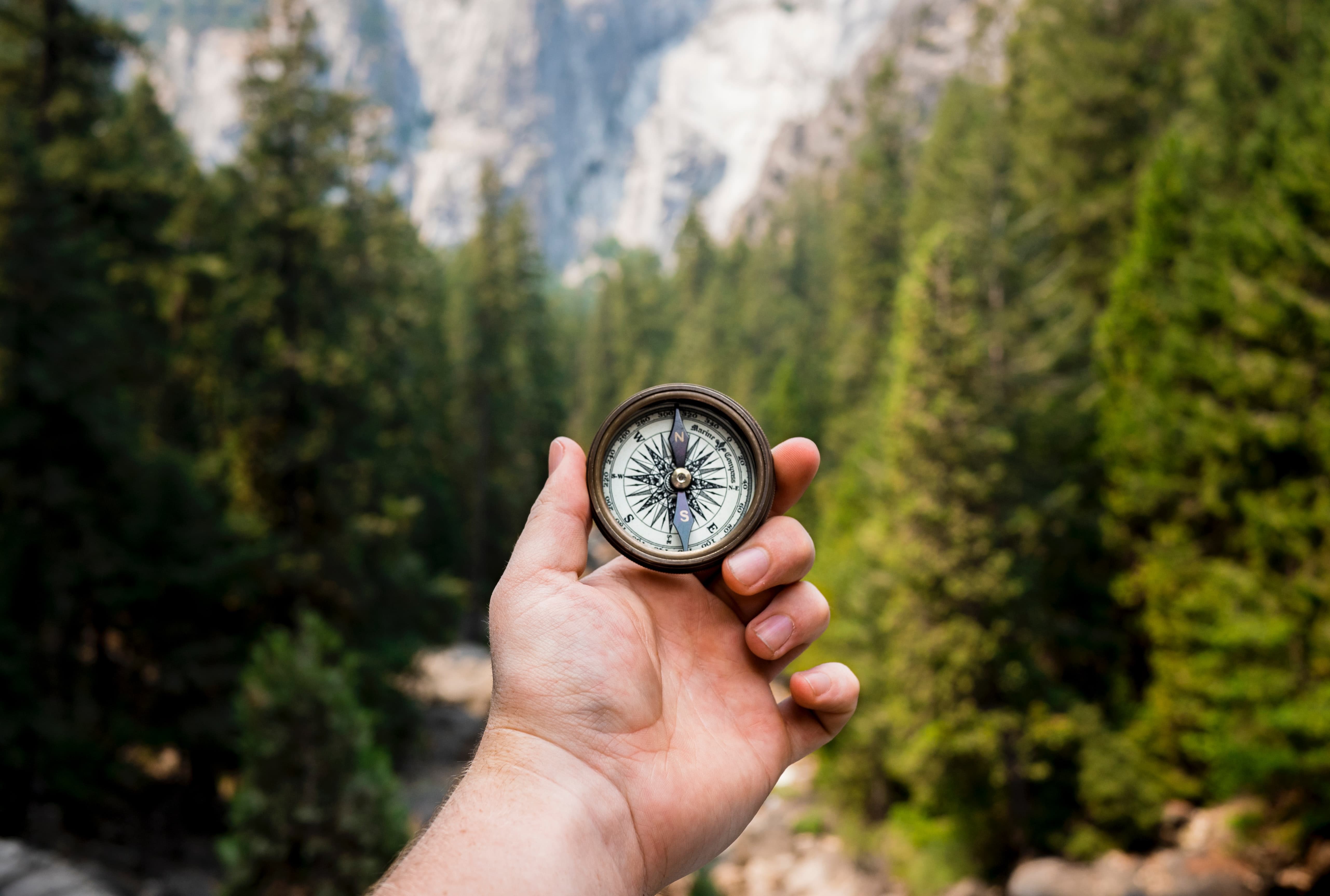 Orientierung finden mit Hilfe eines Life Coaches