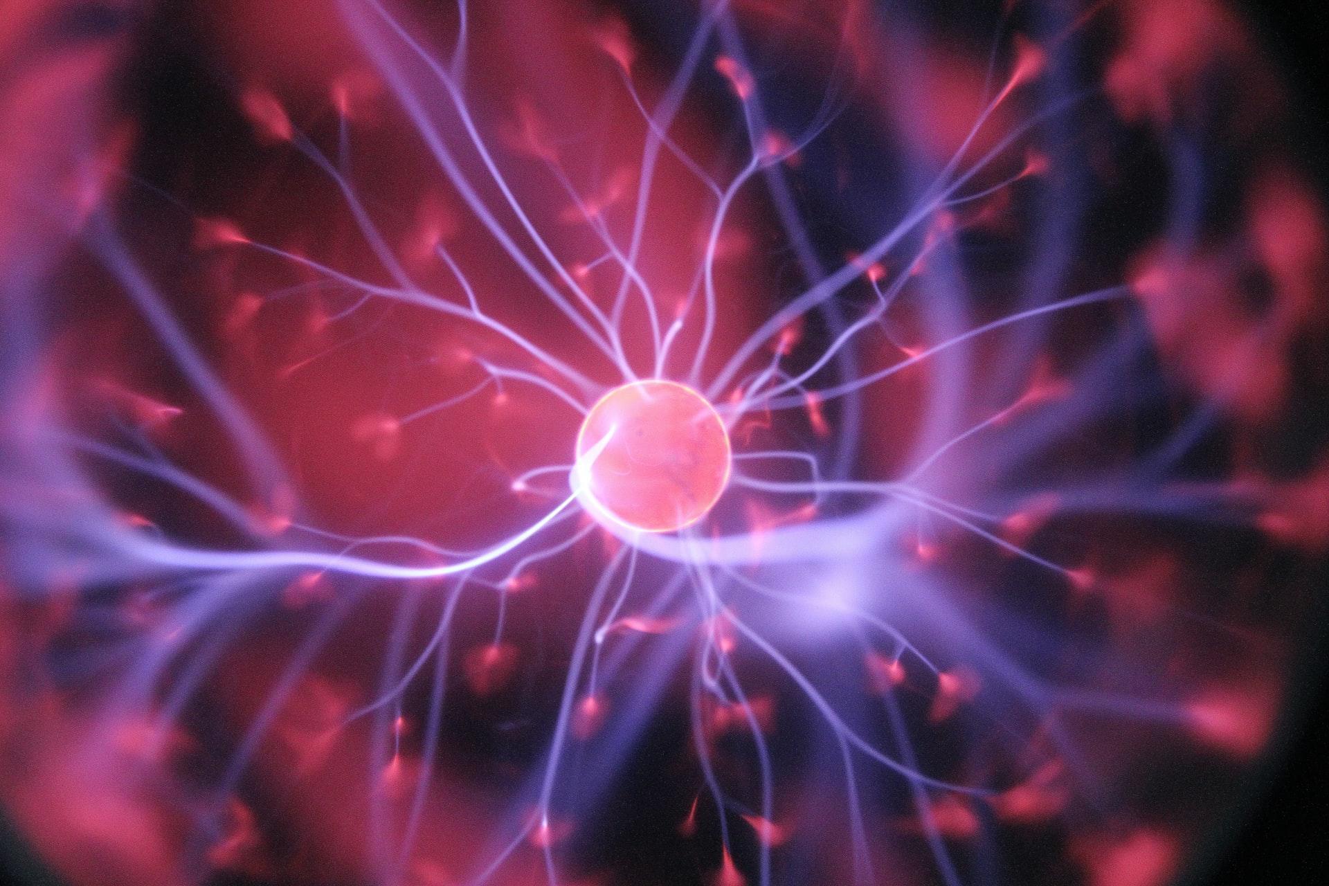 Was sind die wichtigsten Begriffe der Biologie?