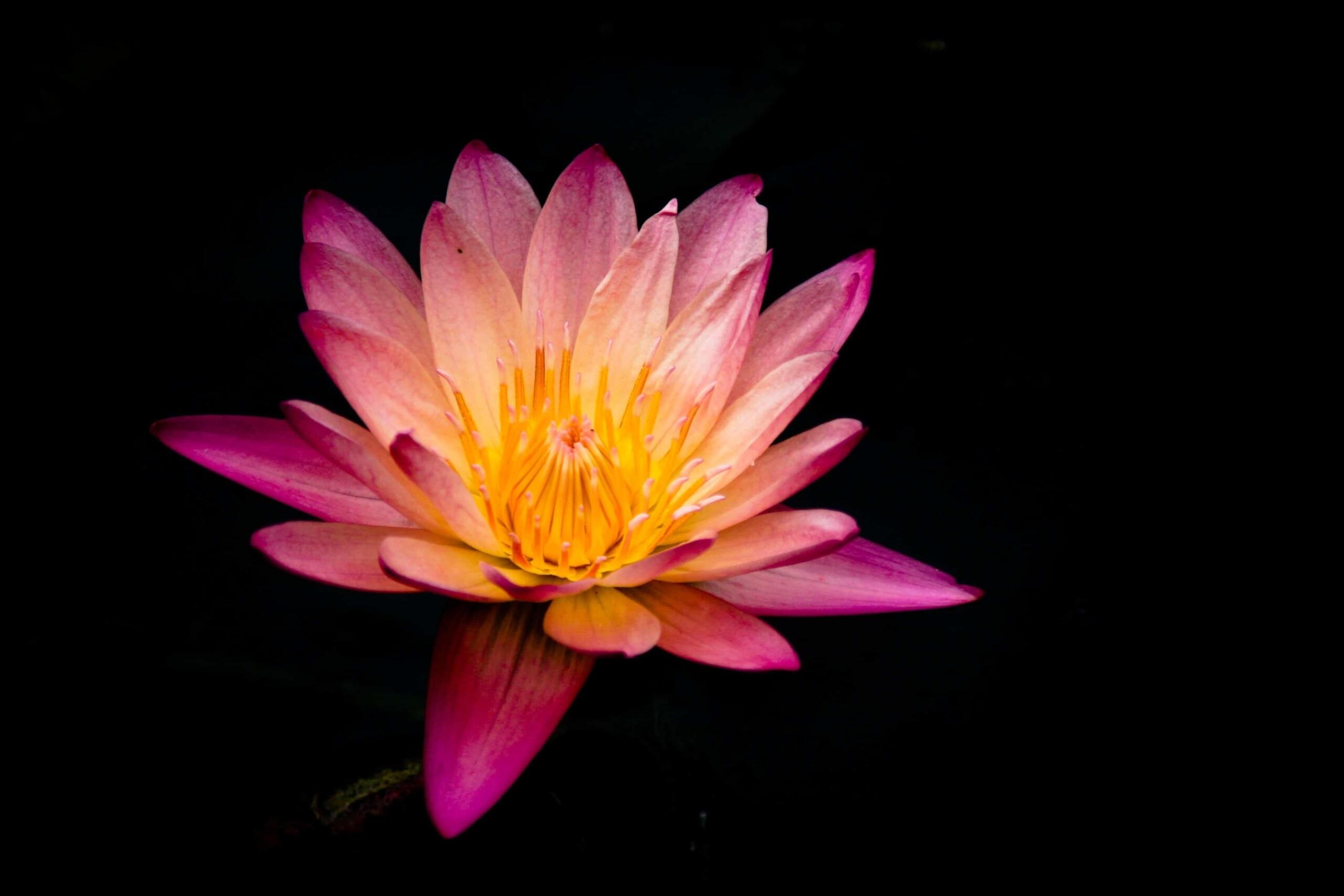 Verschiedene Farben stehen für verschiedene Chakren. (Quelle: Unsplash)