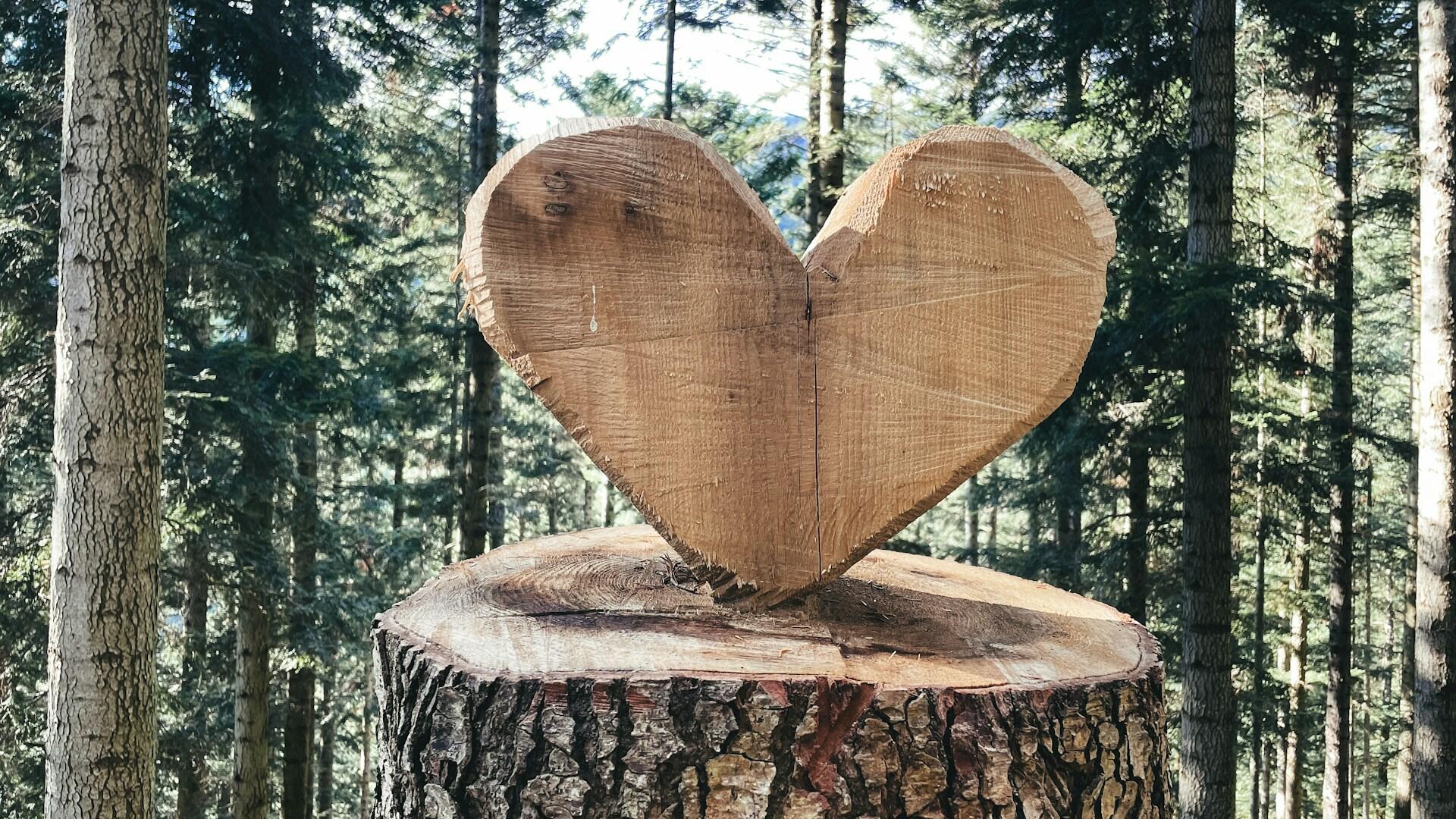Herz aus Holz geschnitzt