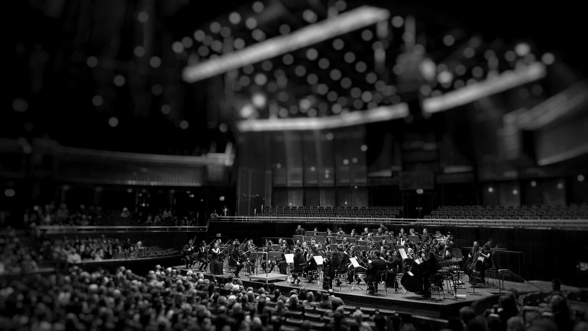 Orchester spielt in gefülltem Konzertsaal