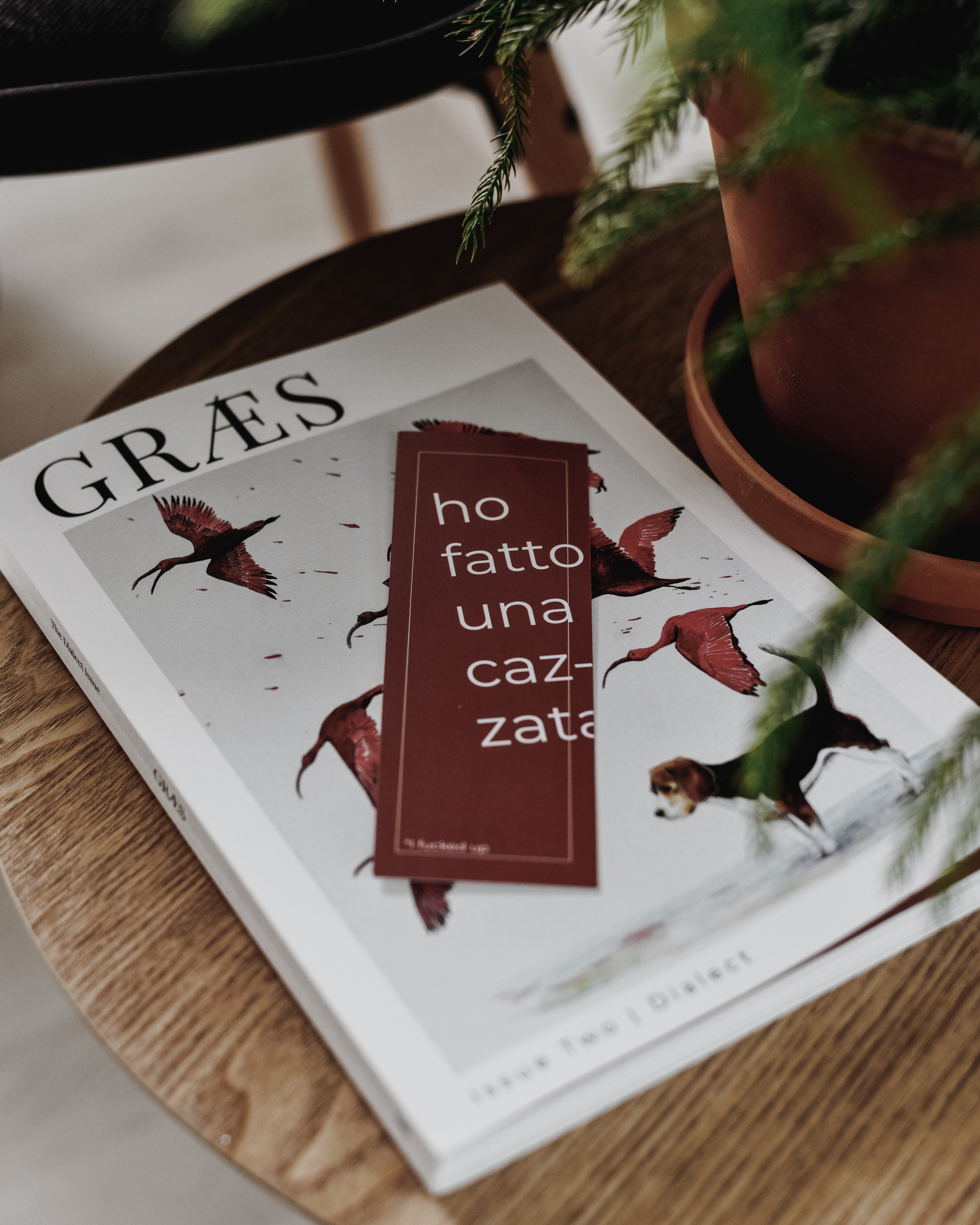 Reading fiction in other languages is great practice
